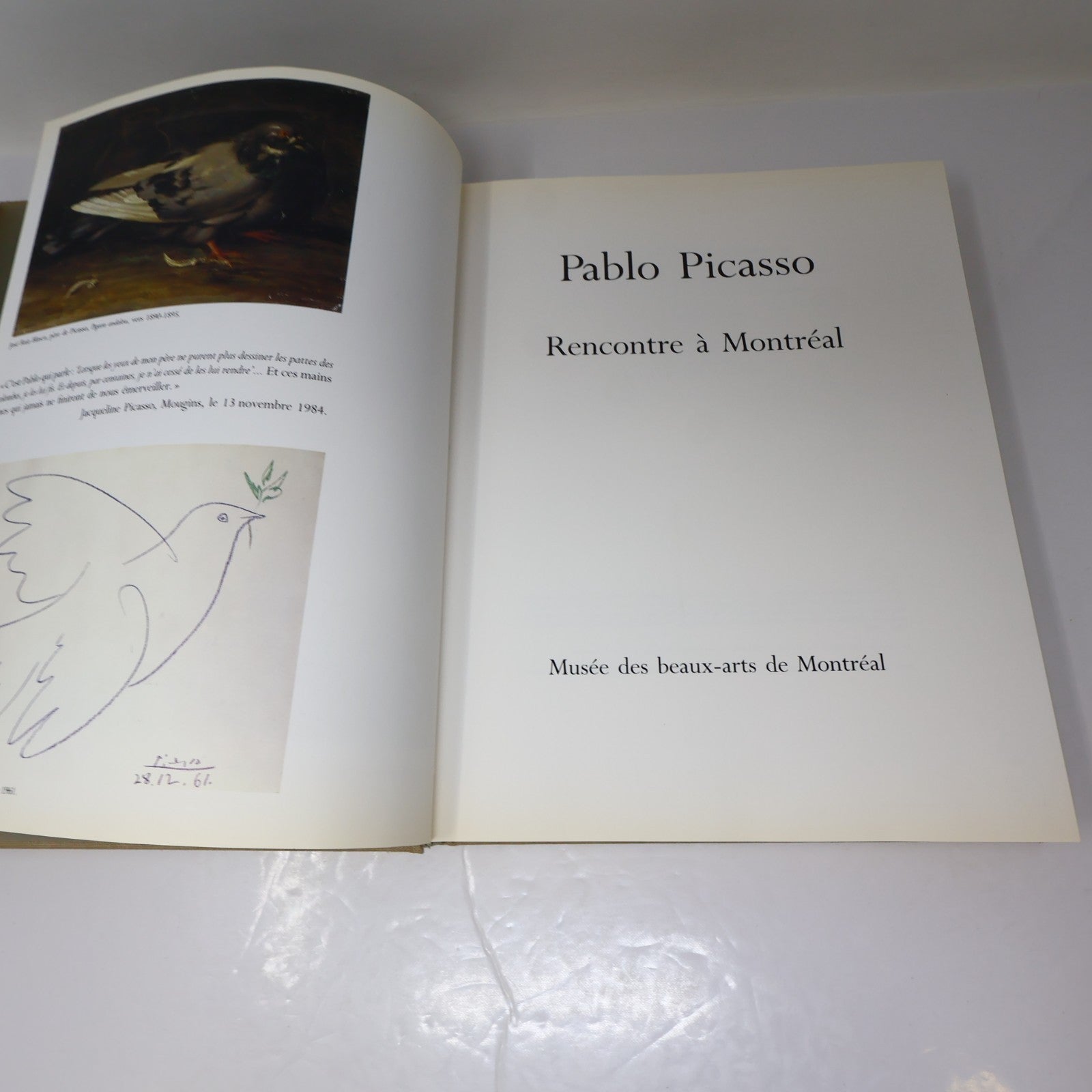 Pablo Picasso Rencontre à Montréal Art Catalogue d'Exposition 1985 HC Français