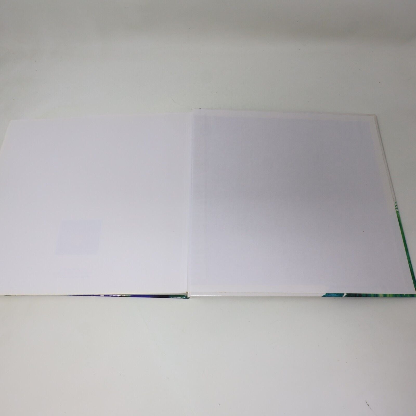 2001 Le Grand Livres des Vivaces Albert Mondor Horticulture Jardinage De L'homme