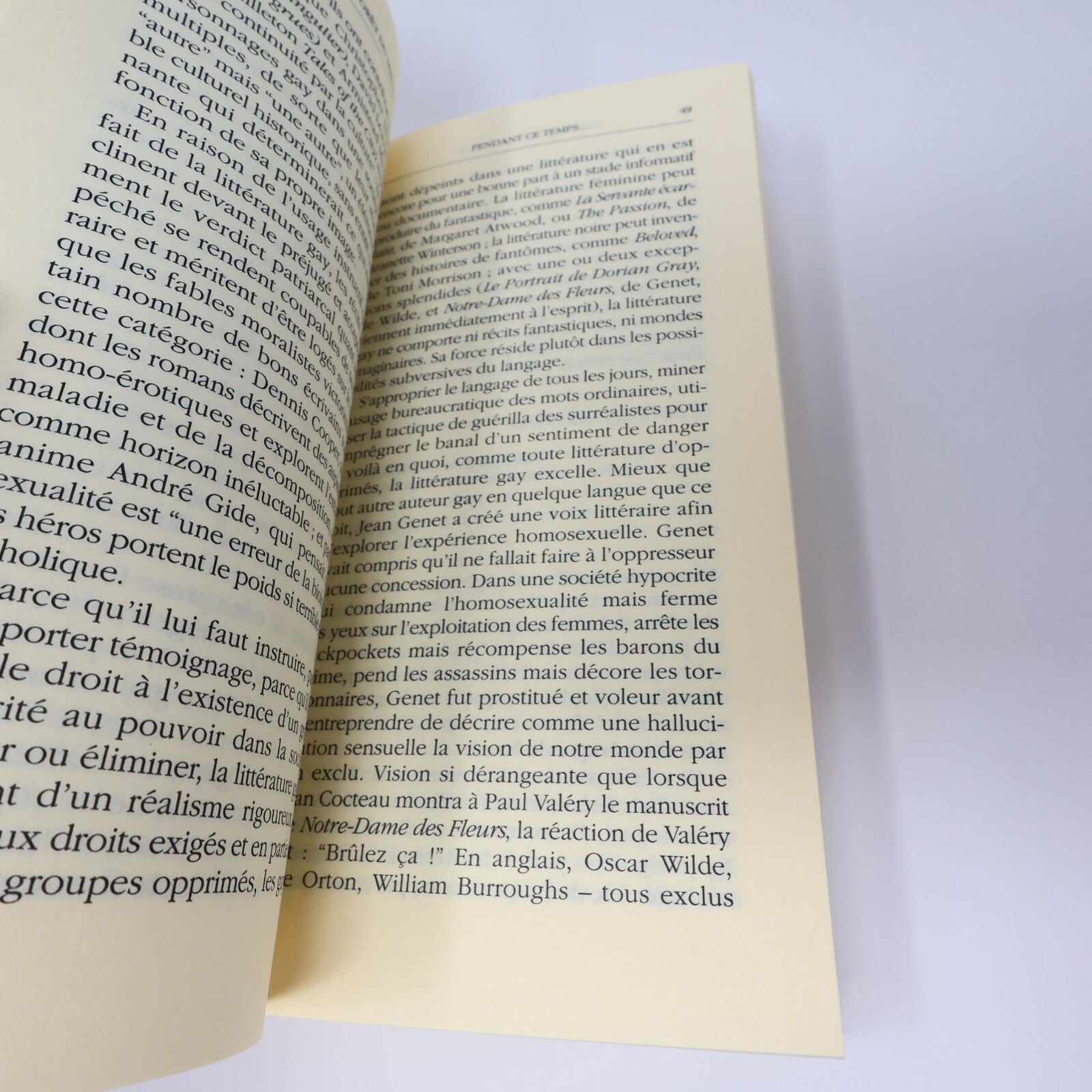 Alberto Manguel Lot 2 Livres Dans la Forêt du Miroir/Histoire de Lecture Essai