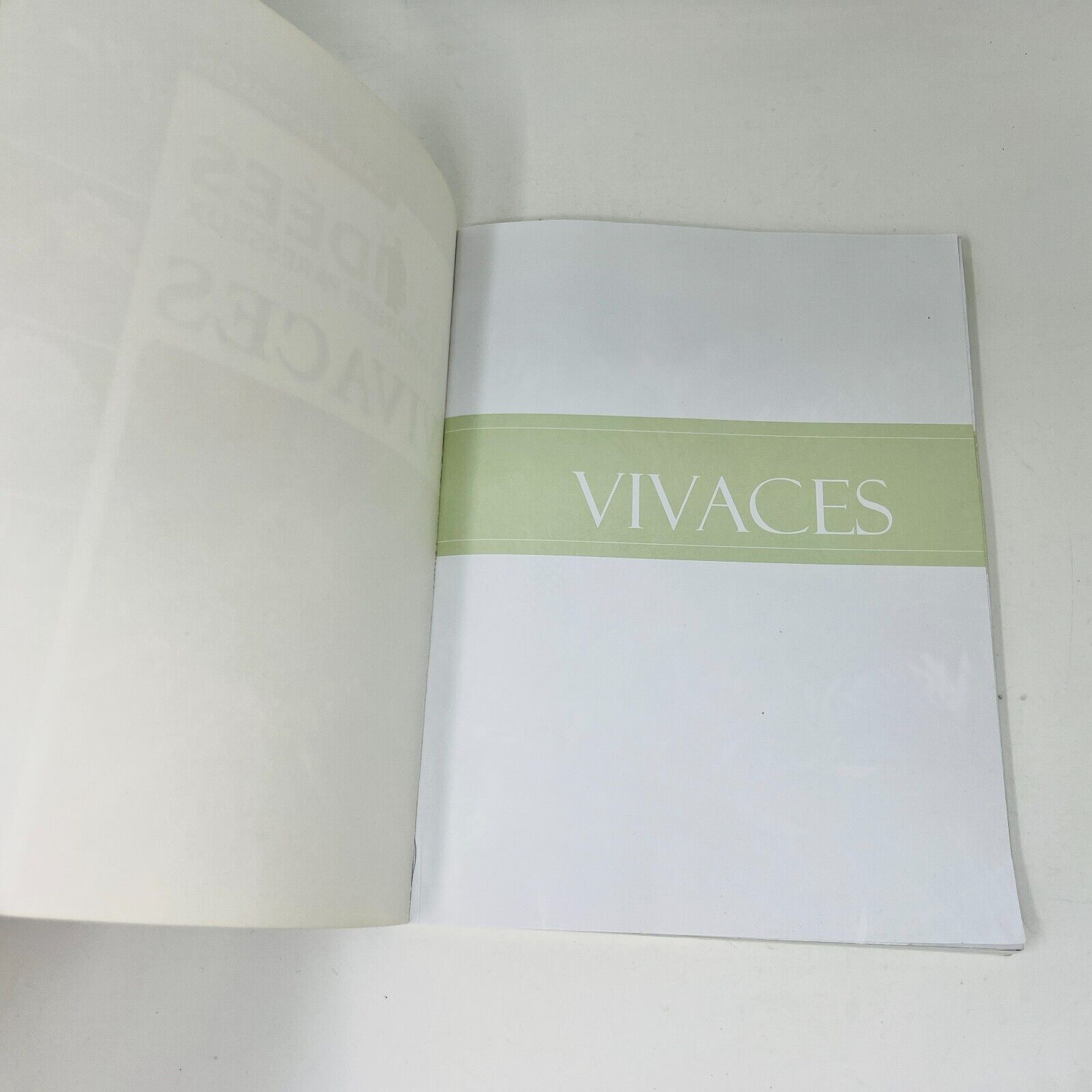 2007 Vivaces Les Idées du Jardinier Paresseux de Larry Hodgson Livre Broquet