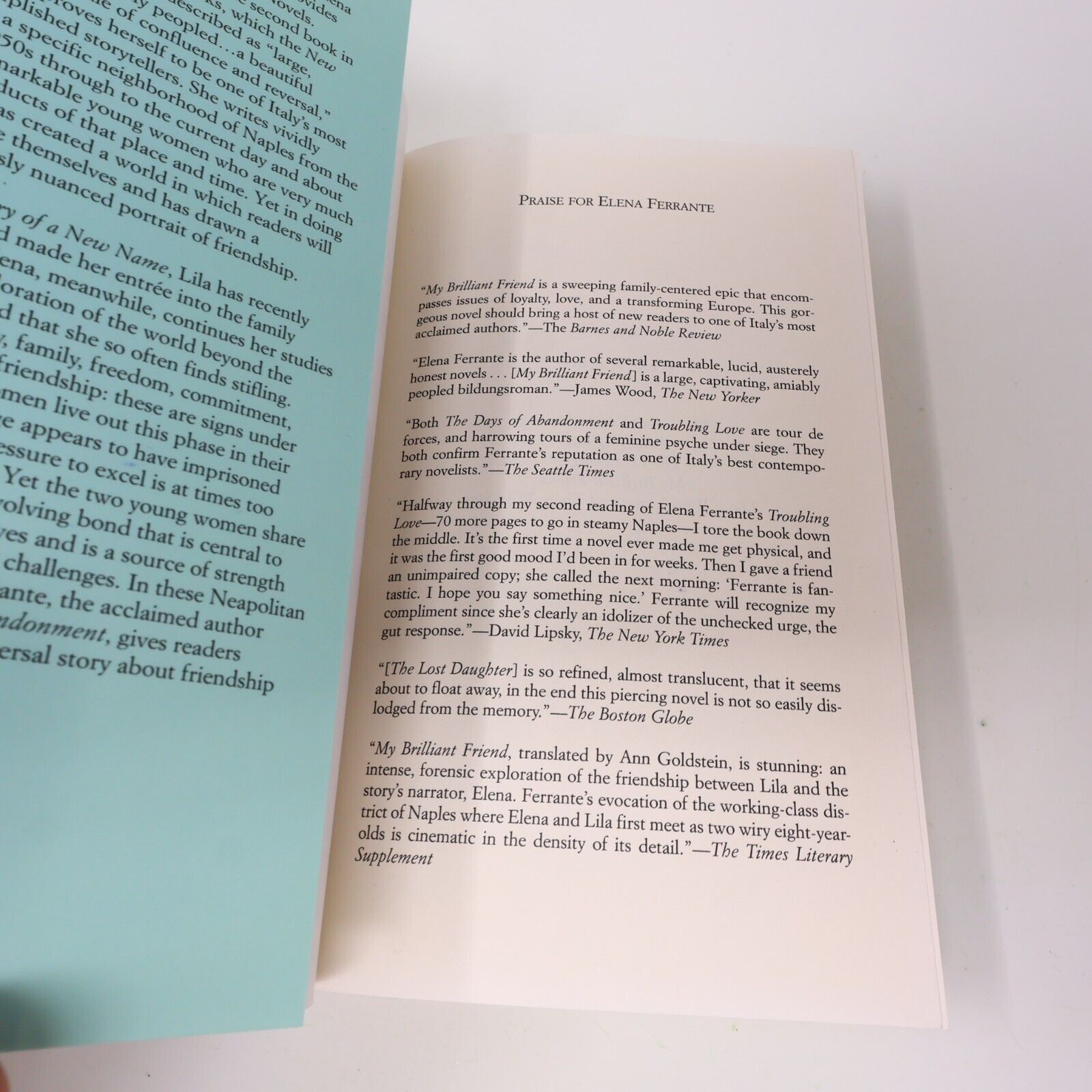 2013 The Story of a New Name Elena Ferrante Europa Paperback Women's Fiction PB