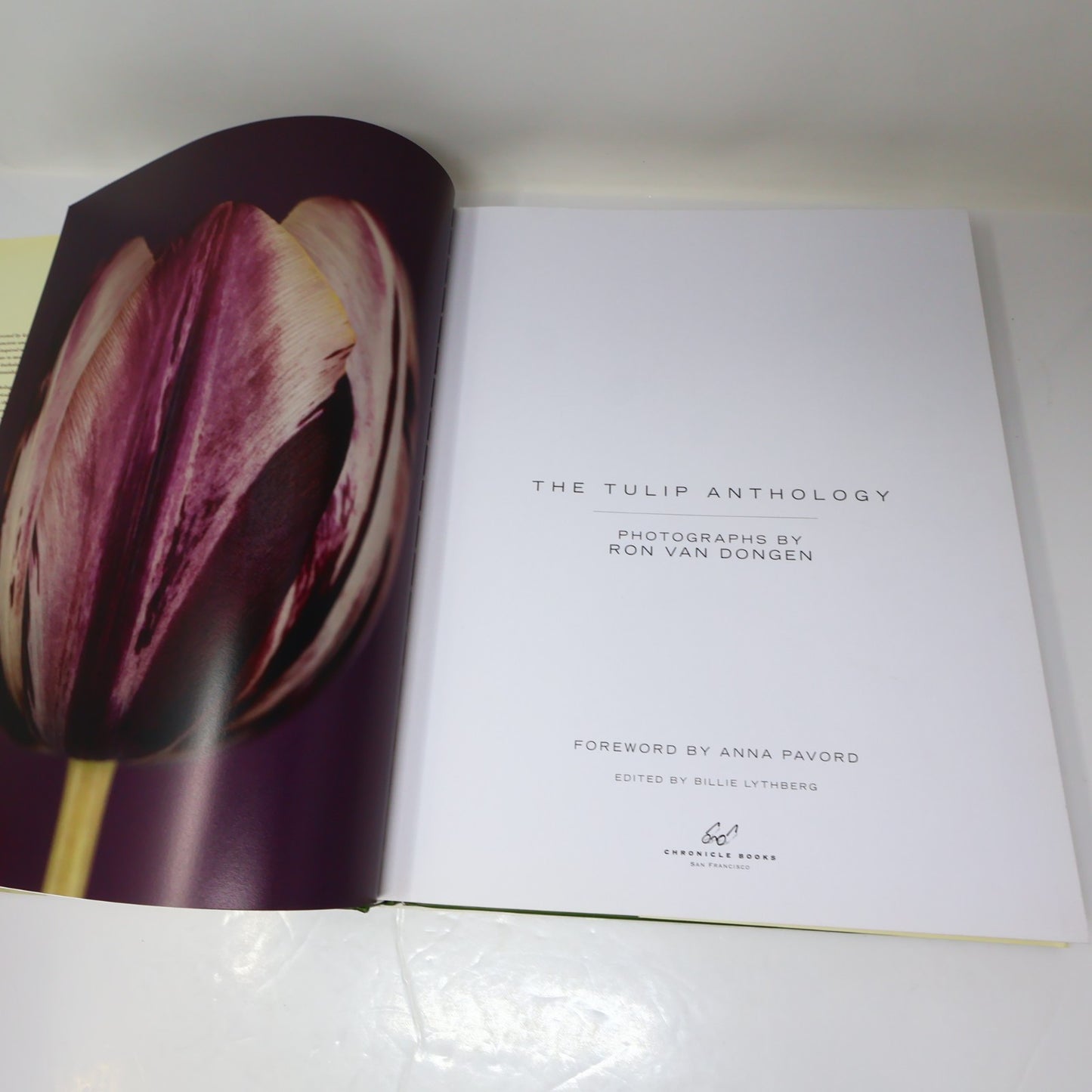 The Tulip Anthology Ron Van Dongen Chronicle Books 2010 HC DJ Art Photography