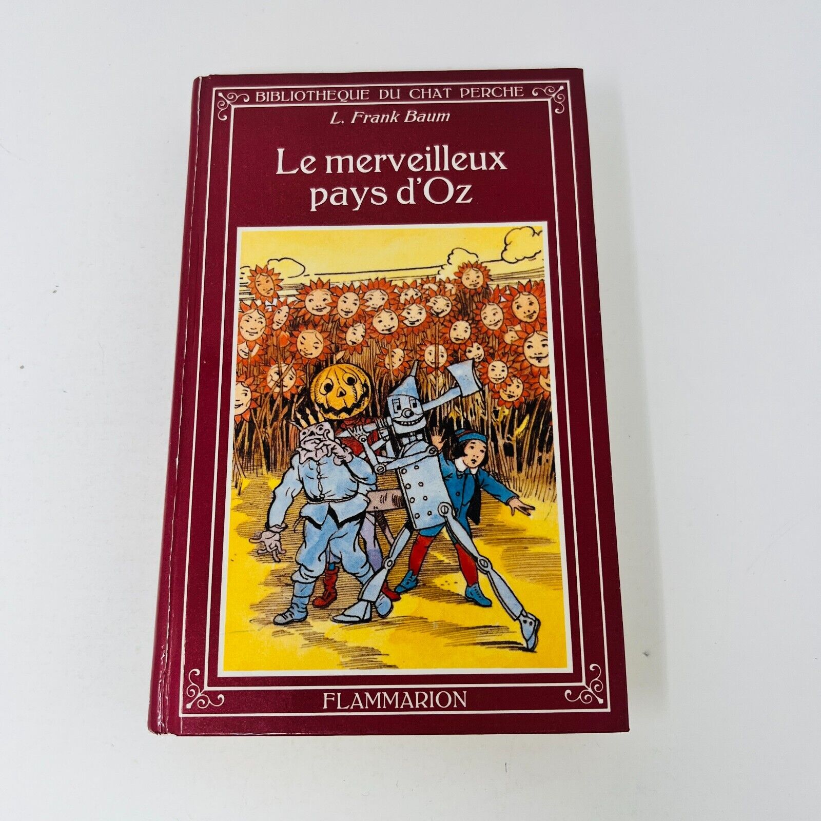 5x Bibliothèque du Chat Perché Oz Peter Pan Docteur Dolittle Lot Livres Français