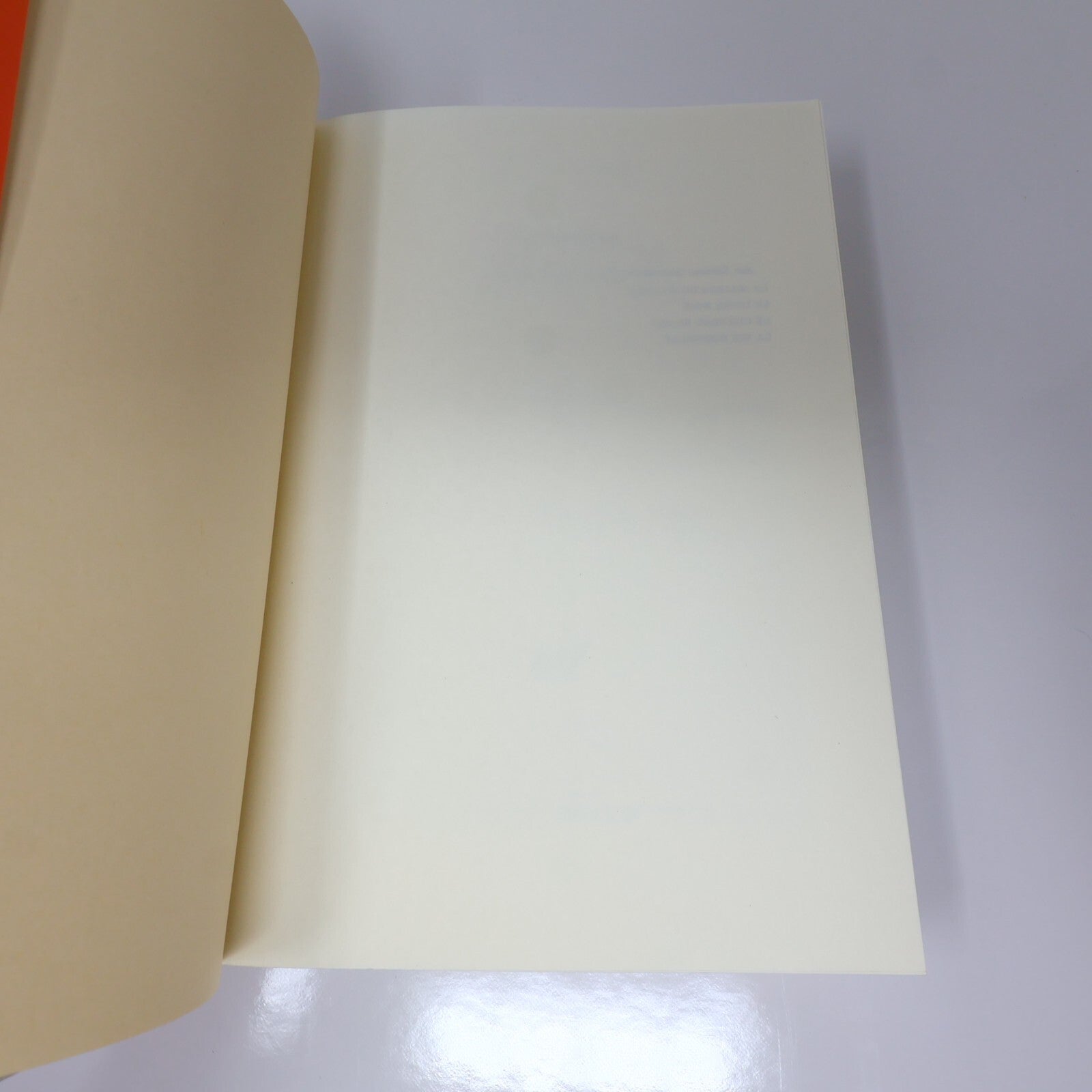 Orhan Pamuk Lot 2 Livres Le Livre Noir/Mon Nom est Rouge Crime et Mystère French