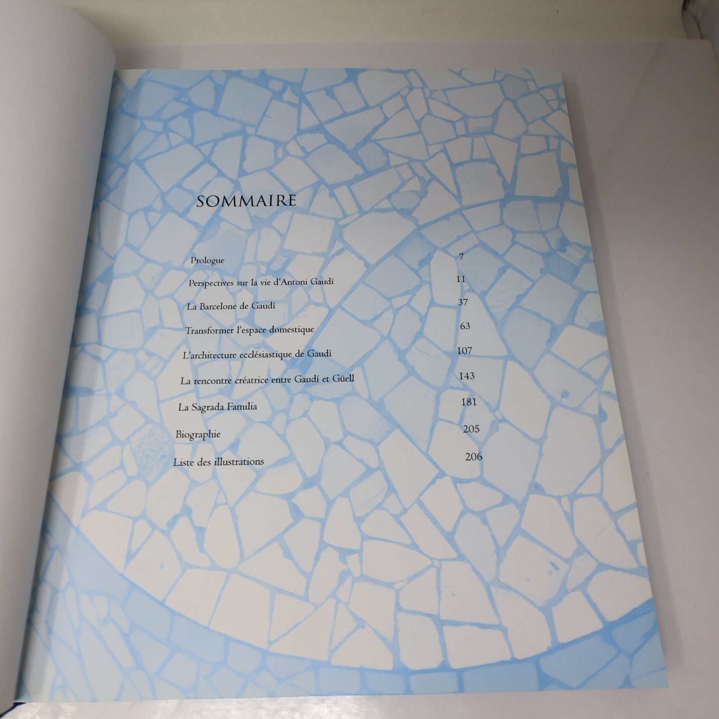 Gaudi Architecte et Artiste Jeremy Roe Parkstone 2006 HC DJ Français French Book