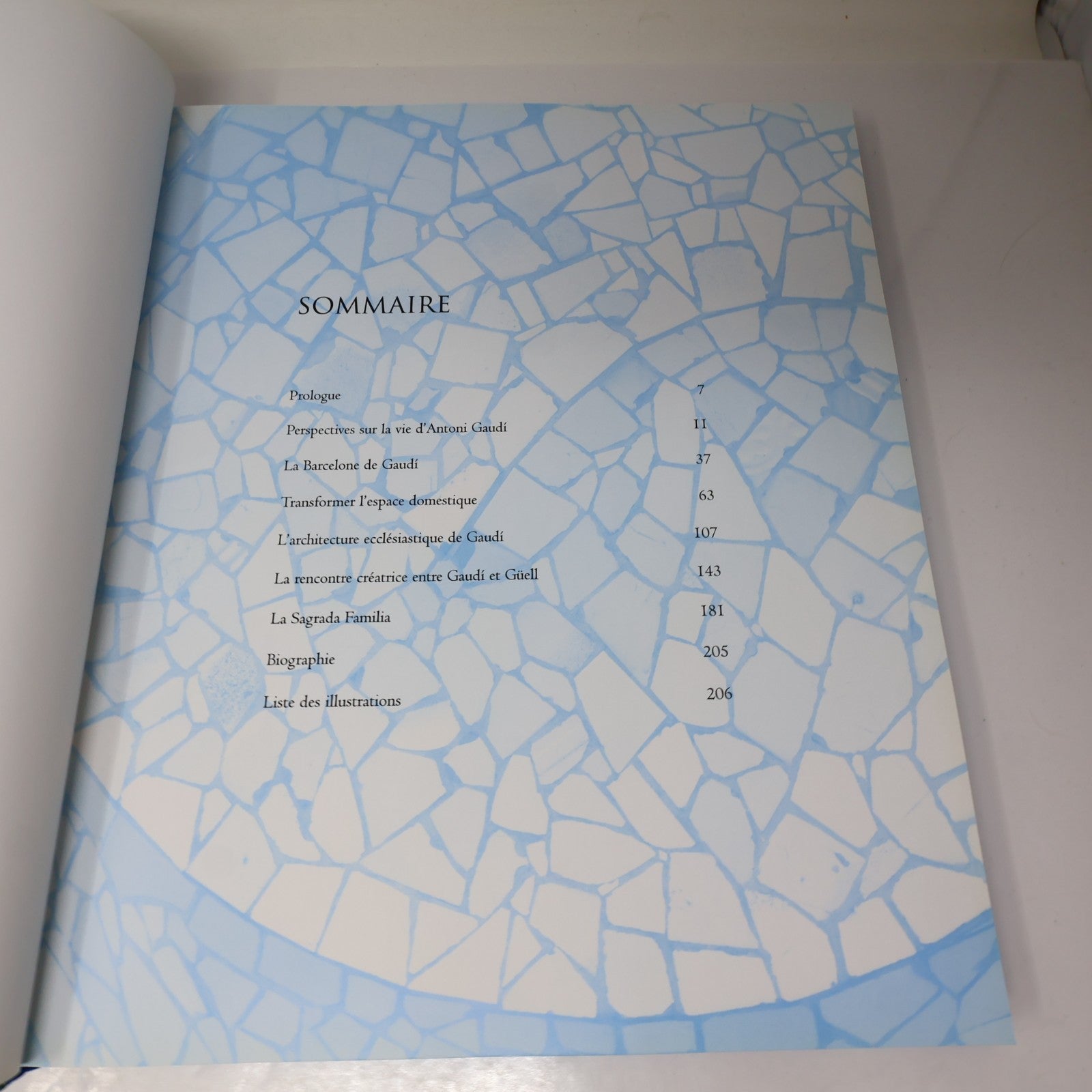 Gaudi Architecte et Artiste Jeremy Roe Parkstone 2006 HC DJ Français French Book