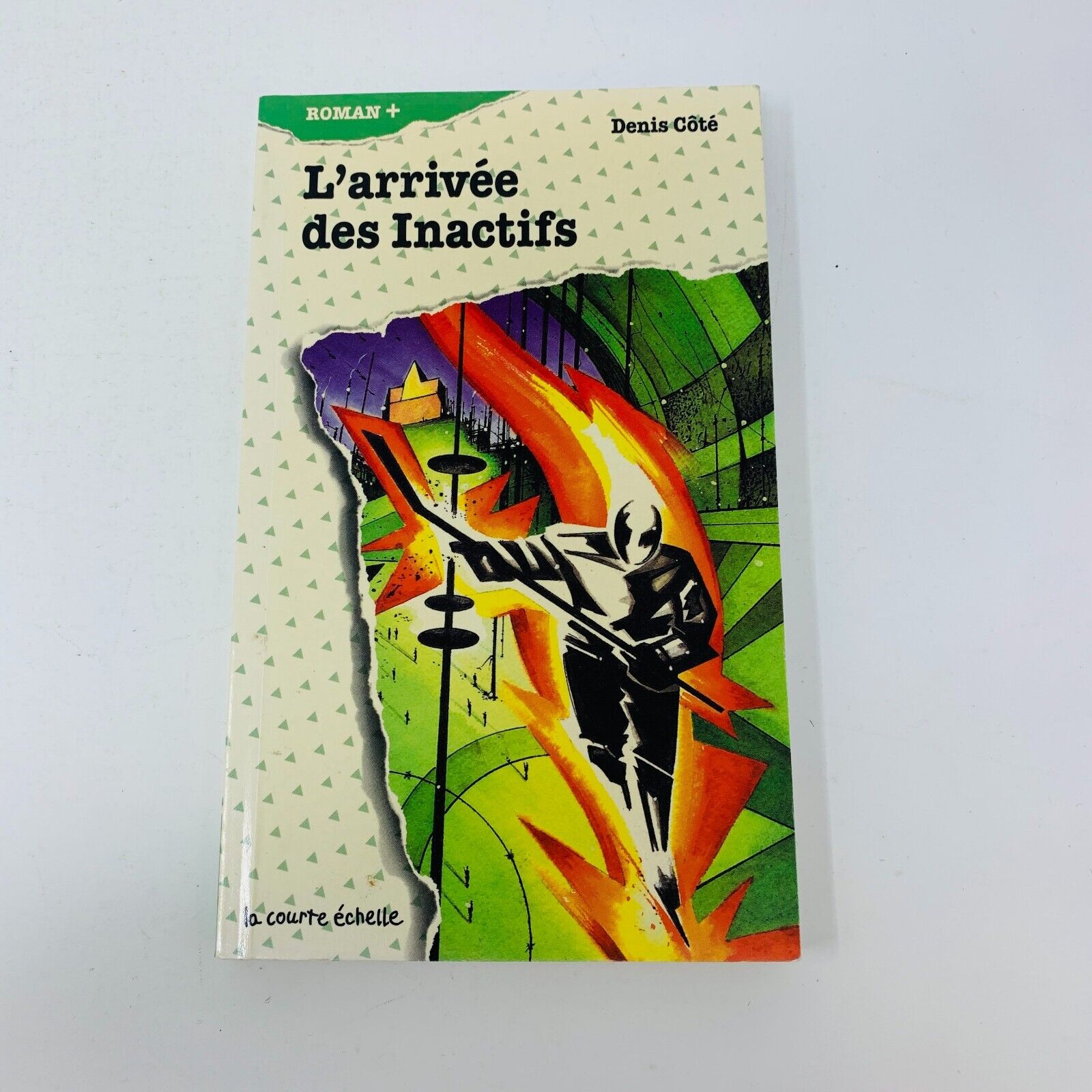 20x La Courte Échelle Roman + #1-19 23 Lecture Enfants Livres Français French