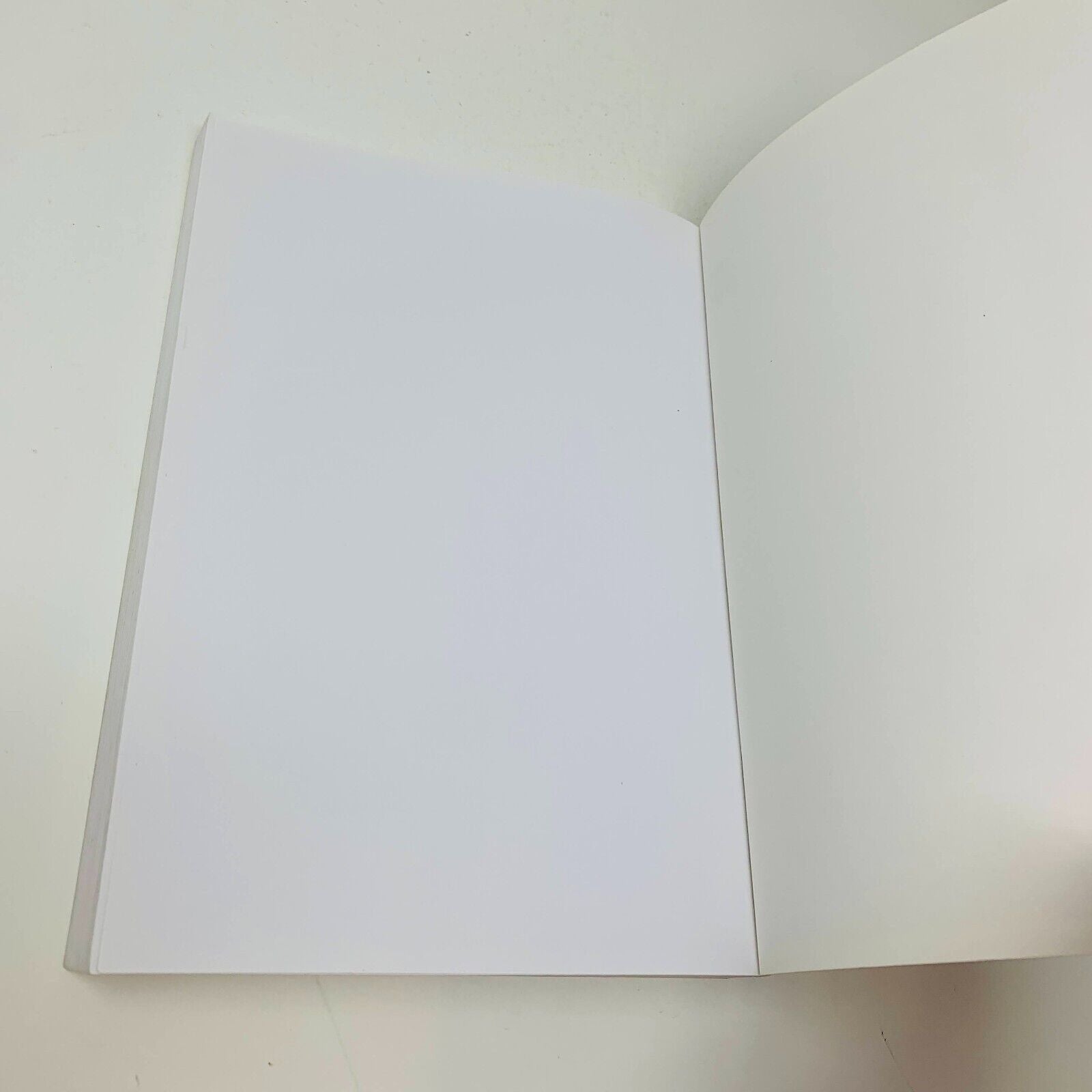 2013 Le Grand Livre de la Numérologie De Vecchi François Notter Numérologue