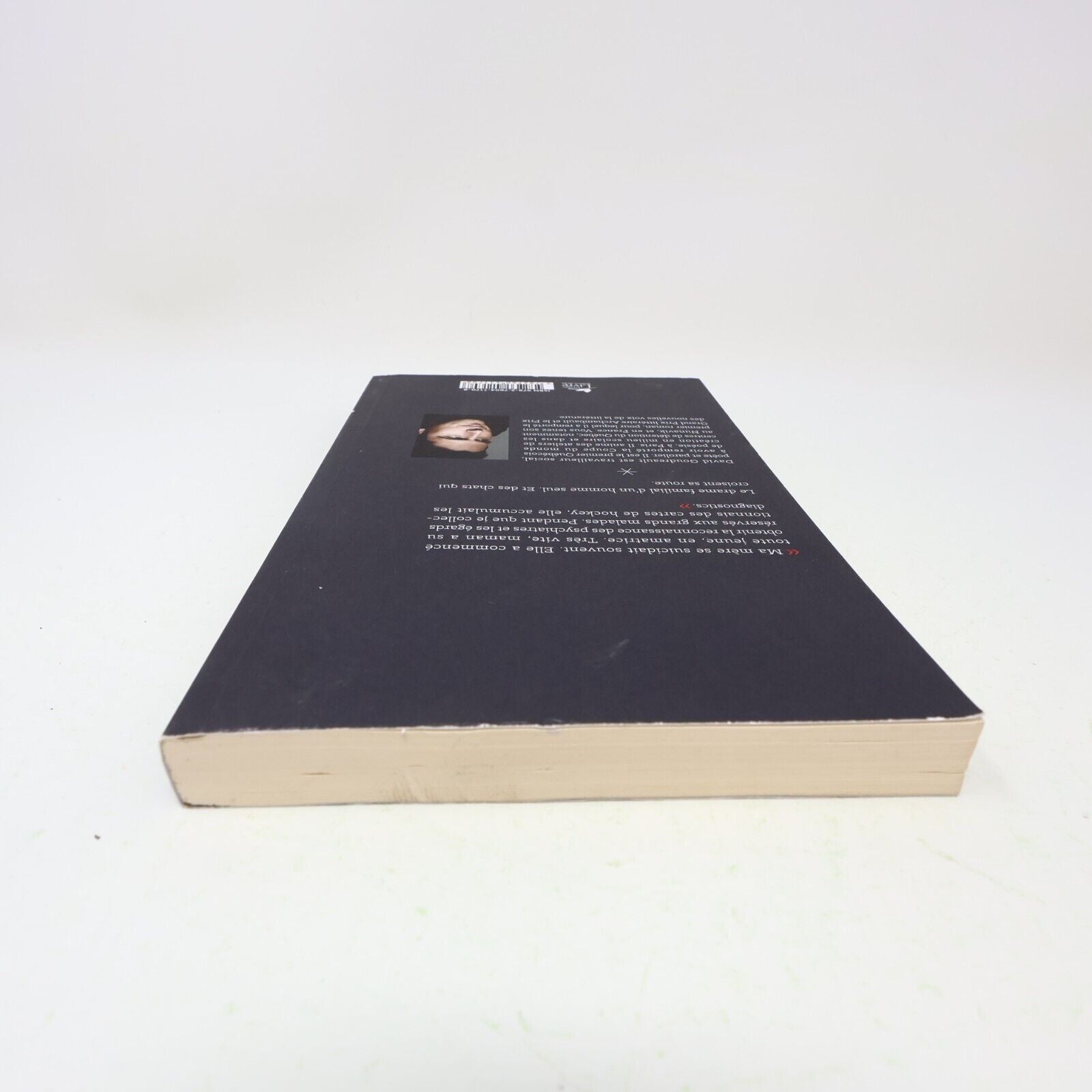 2015 La Bête à sa Mère David Goudreault Stanké Français Paperback Roman Québec