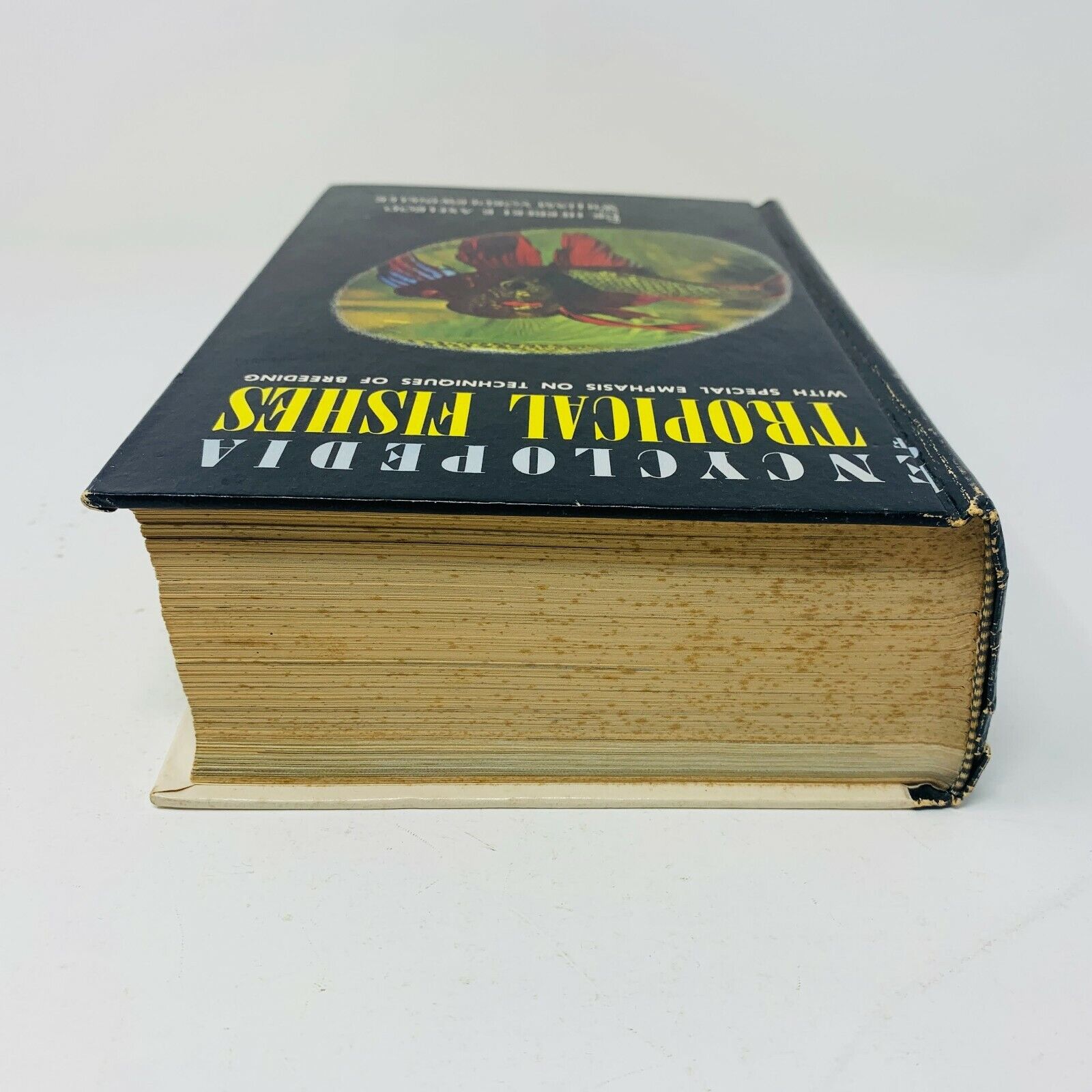 1966 Encyclopedia of Tropical Fishes Techniques of Breeding Herbert R. Axelrod