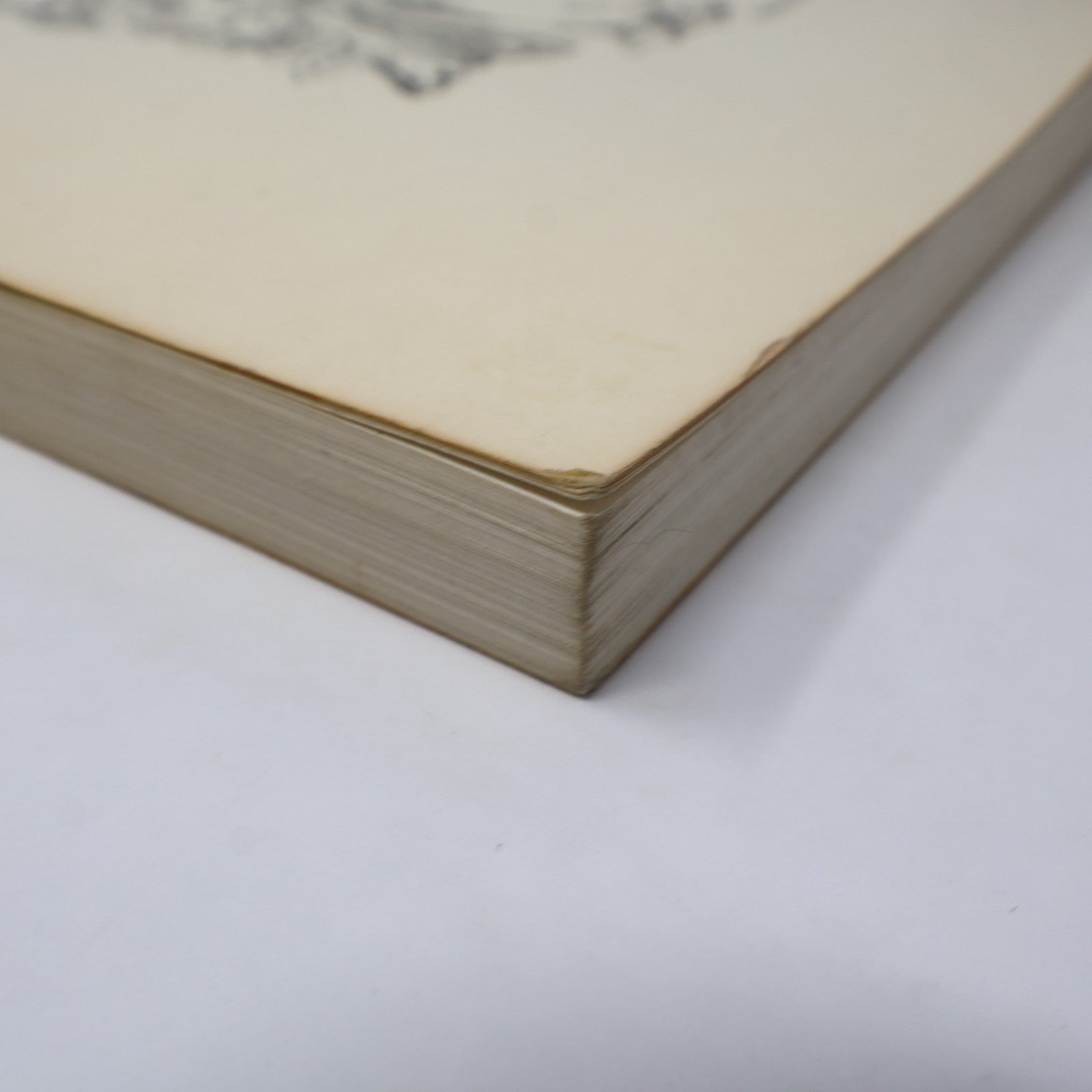 Oeuvre de Chair Yves Thériault Stanké 1976 PB Français French Nouvelles Québec