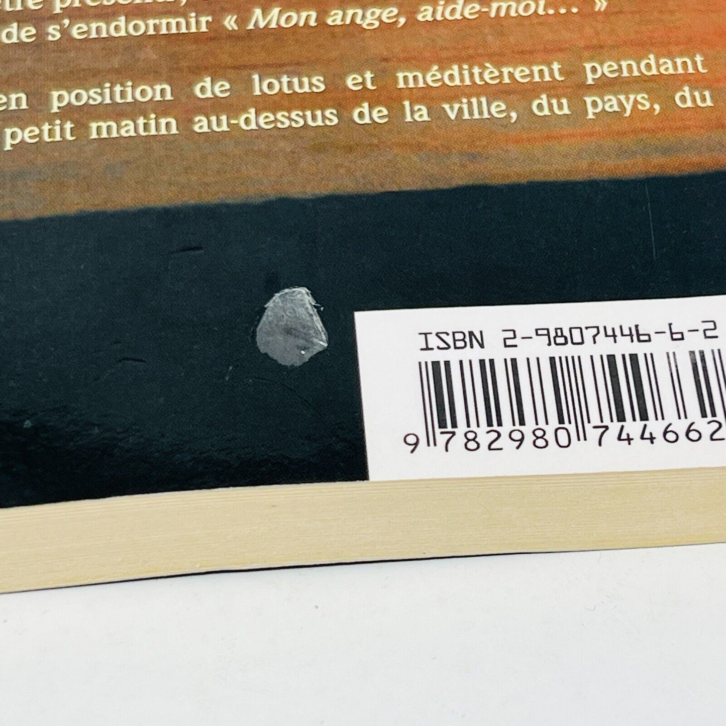 2012 De l'Enfance au Paradis de Marjolaine Caron Ange Enfant Français Paperback