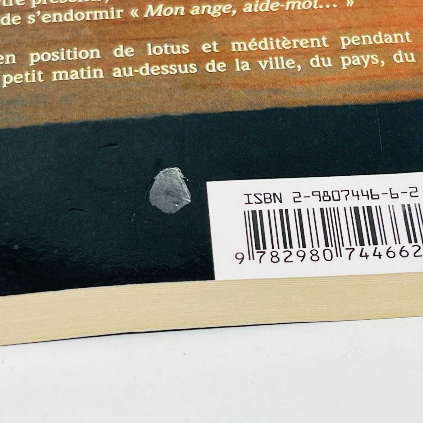2012 De l'Enfance au Paradis de Marjolaine Caron Ange Enfant Français Paperback