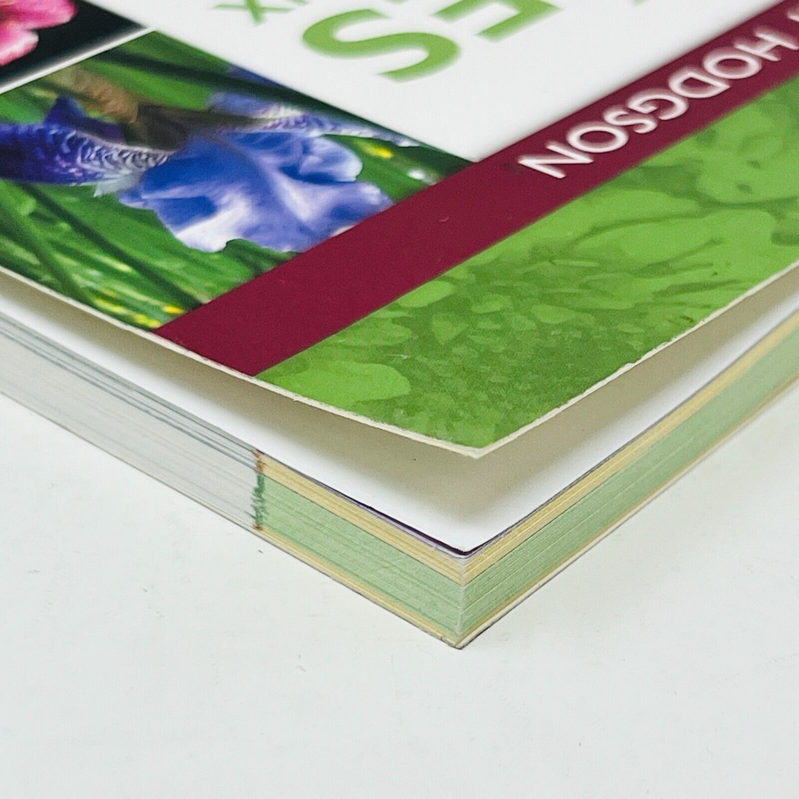 2007 Vivaces Les Idées du Jardinier Paresseux de Larry Hodgson Livre Broquet