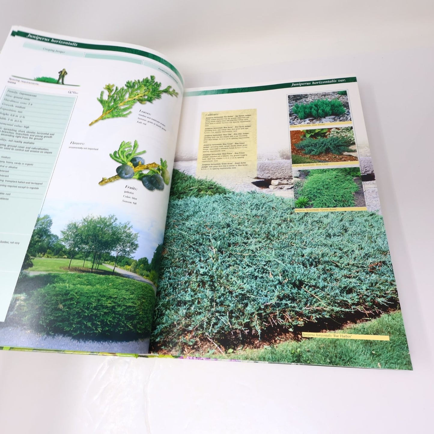 Guide to Ornamental Trees and Shrubs Hydro-Quebec 2005 3rd Ed Gardening Broquet