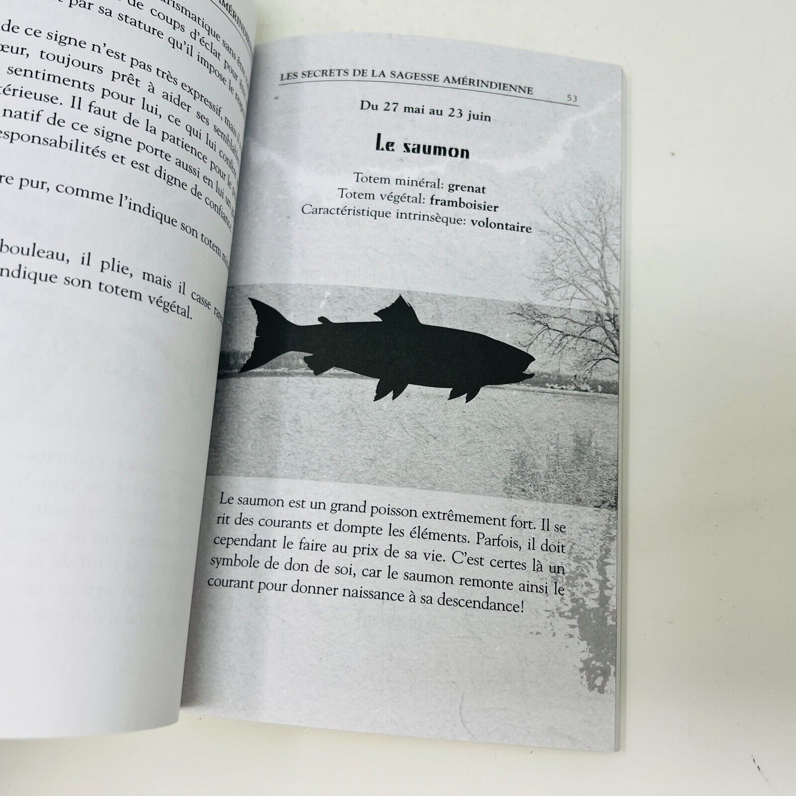 2010 Les Secrets de la Sagesse Amérindienne de Ronan Kouba Chamanisme Astrologie