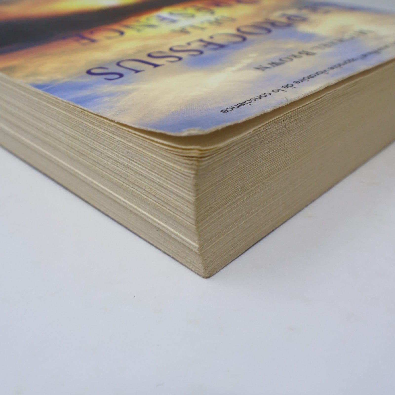 Le Processus de la Présence Michael Brown Ariane 2012 PB Français French Livre