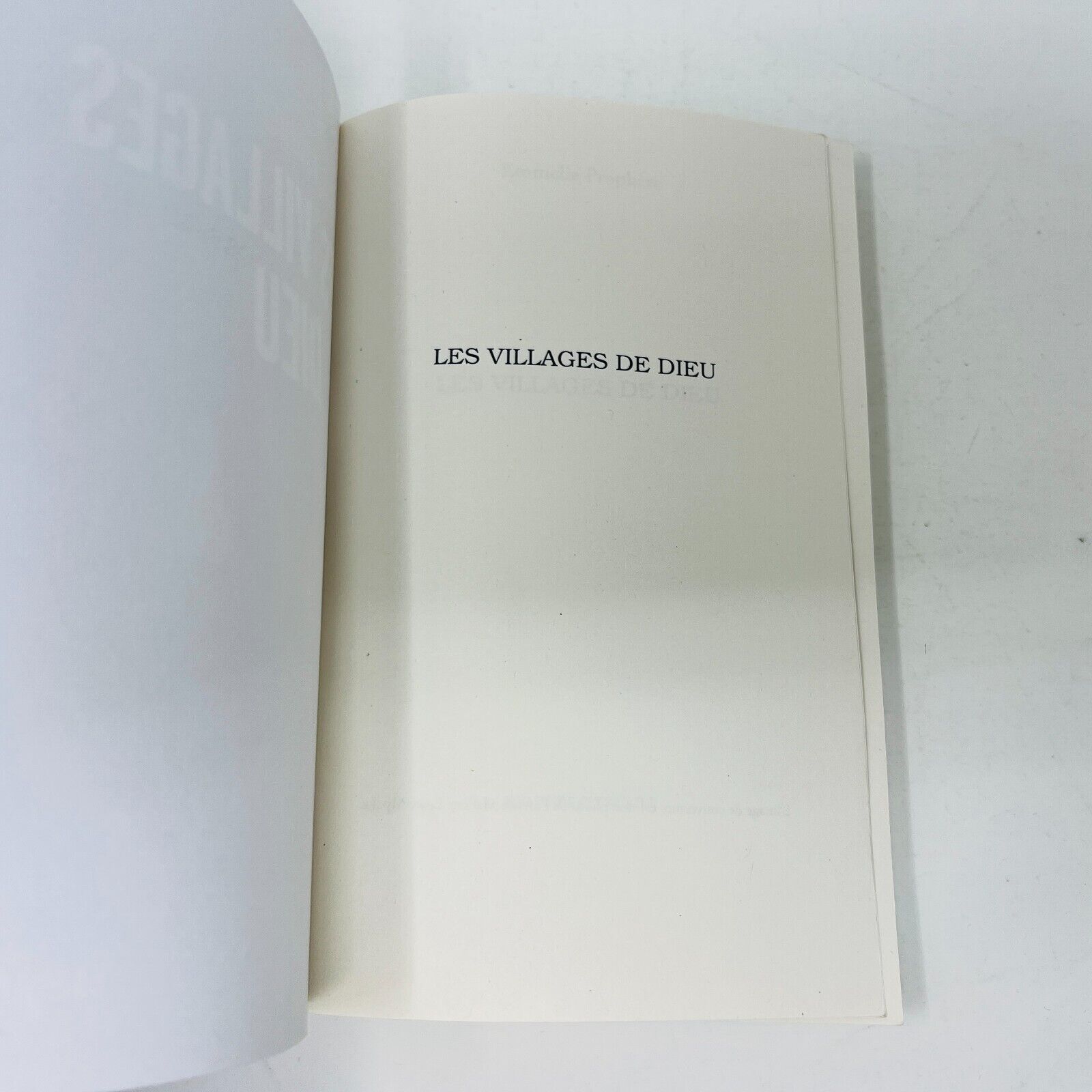 2020 Les Villages de Dieu de Emmelie Prophète Haiti Fiction Français Livre PB