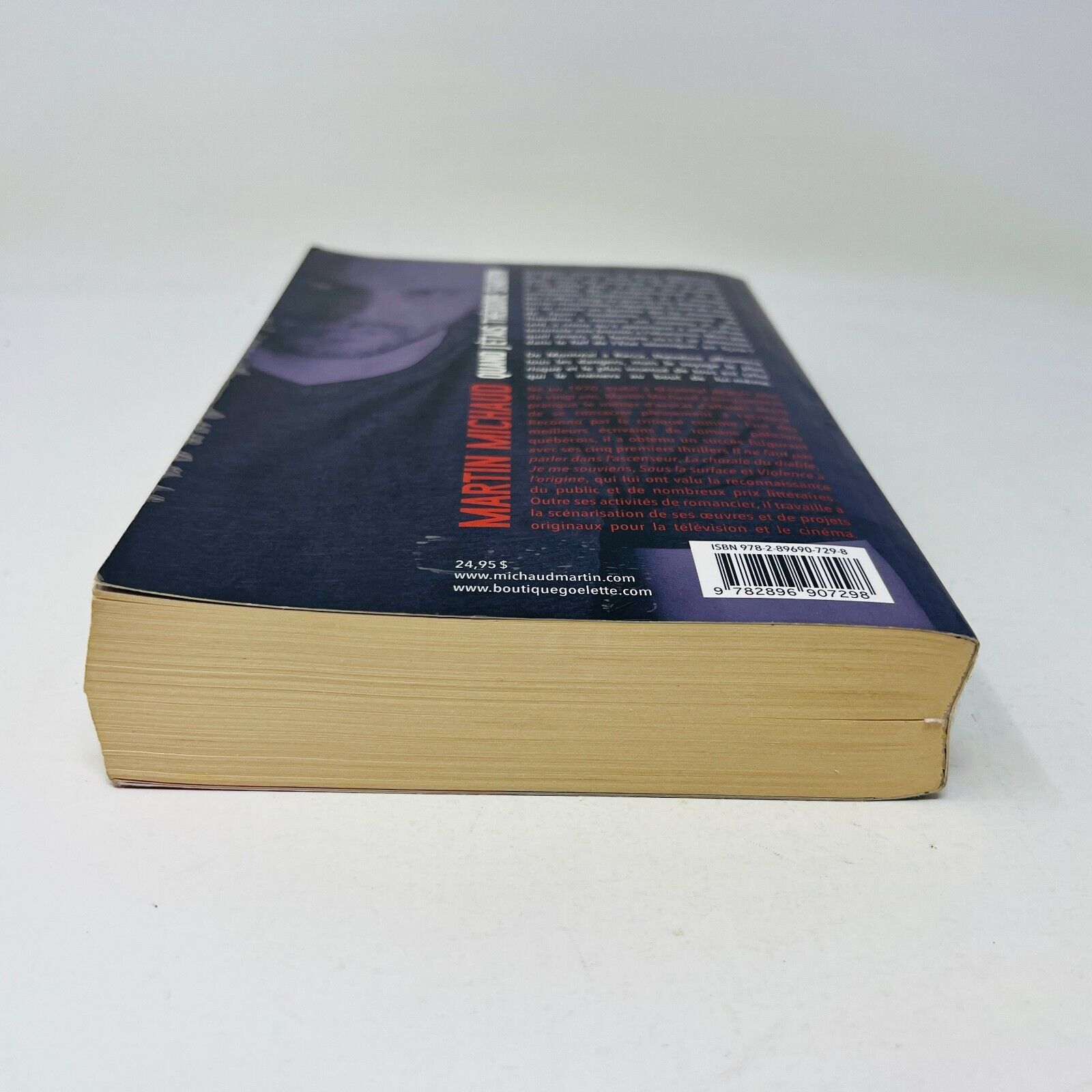 2015 Quand j'Étais Théodore Seaborn de Martin Michaud Livre Goélette Thriller