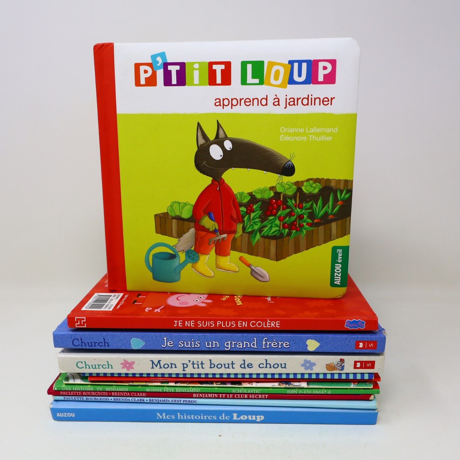 Lot 11 Livres Jeunes Enfants Loup Munsch Caillou Français French Children Bundle