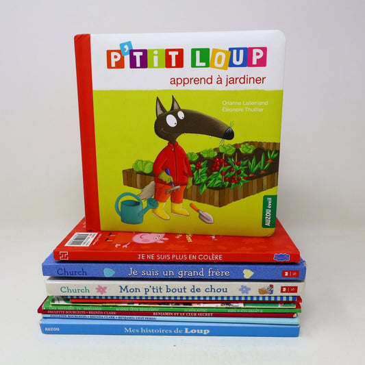 Lot 11 Livres Jeunes Enfants Loup Munsch Caillou Français French Children Bundle