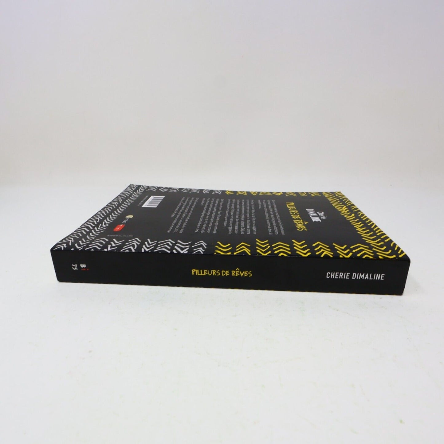 2019 Pilleurs de Rêves Cherie Dimaline Boréal Français Paperback Dystopie Livre