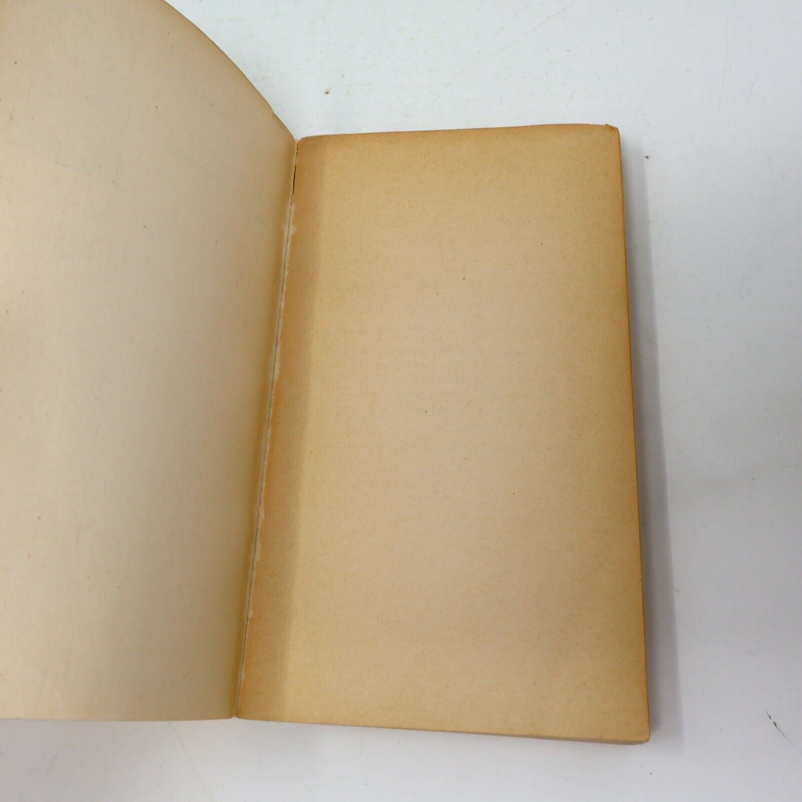 1964 Van Gogh ou la Remontée Vers la Lumière La Recherche de l'Absolu Plon PB