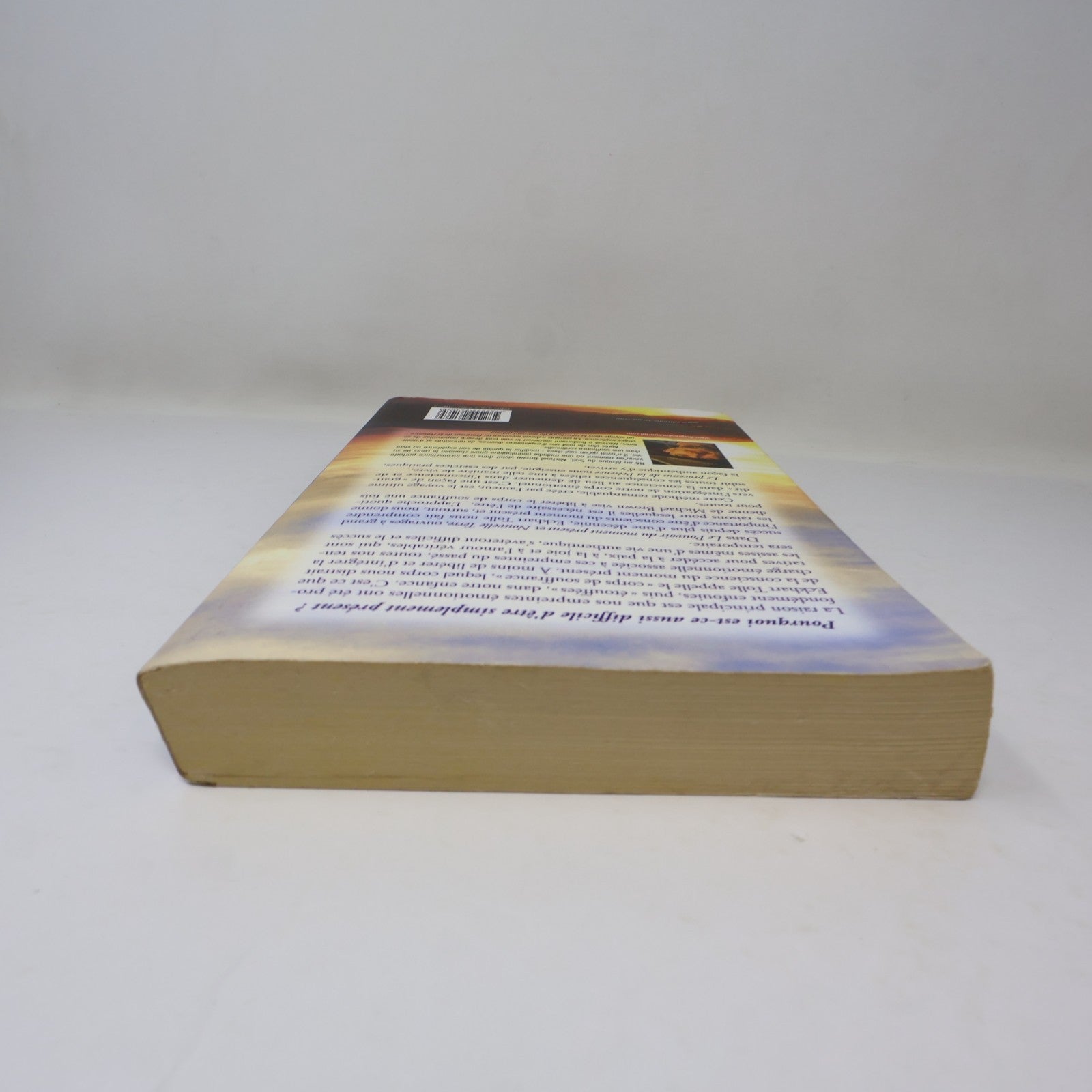 Le Processus de la Présence Michael Brown Ariane 2012 PB Français French Livre