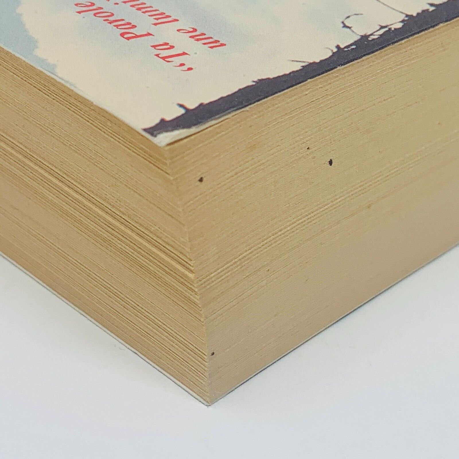 1987 Le Nouveau Testament de la Bible de Jérusalem Anne Sigier / Cerf Français