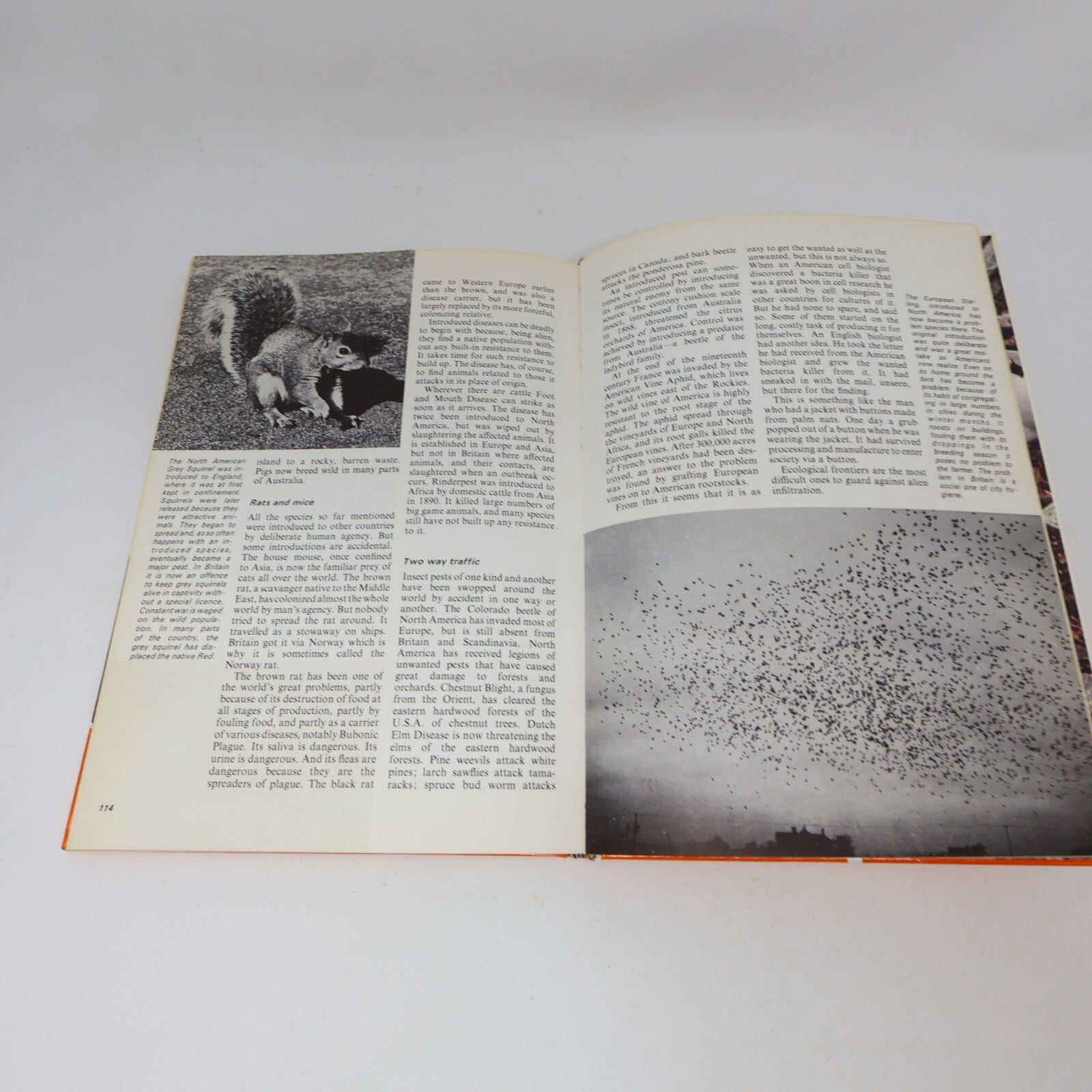 1969 Nature's Way David Stephen James Lockie Collins Animals 1st Edition Book HC