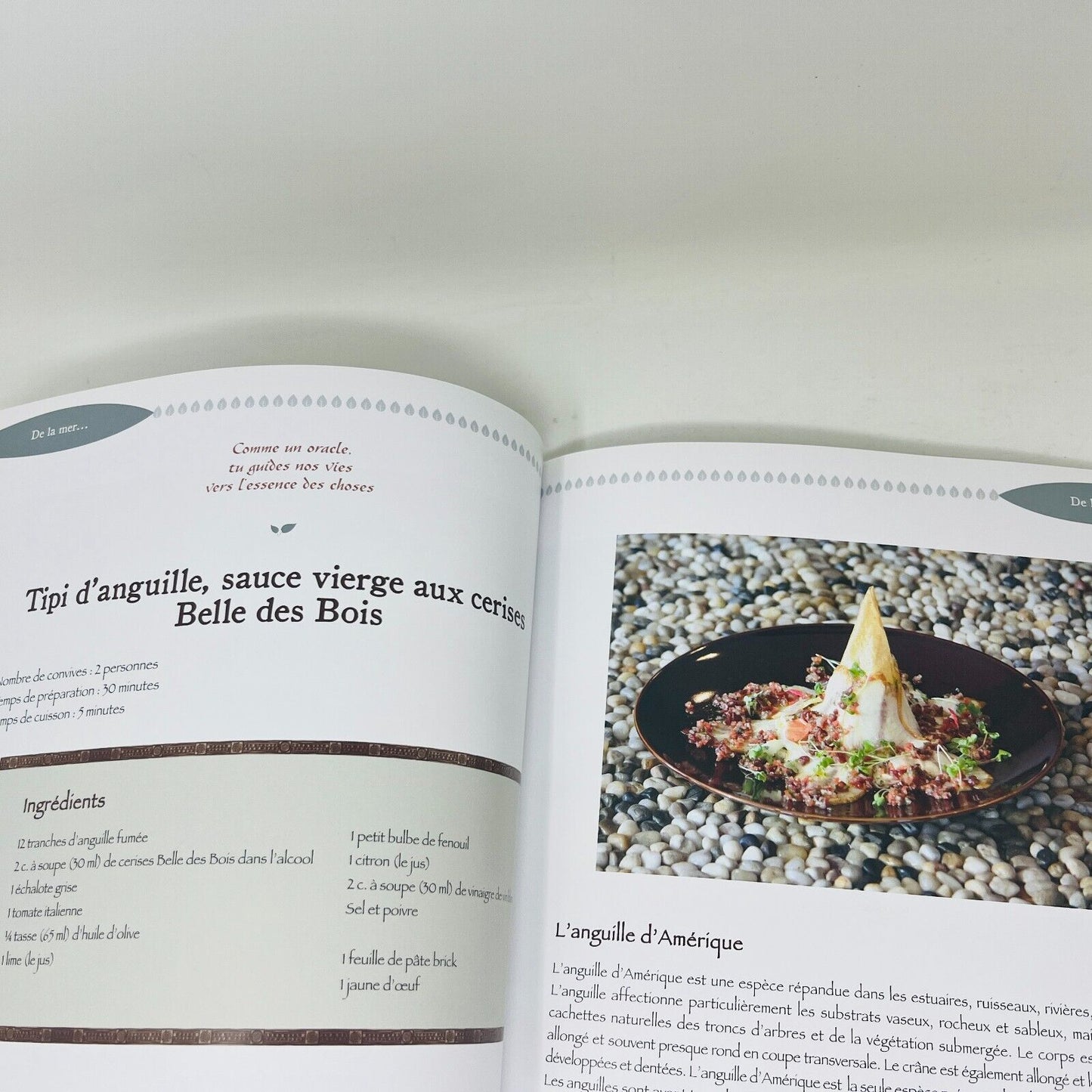 Gastronomie des Premieres Nations Signé par Martin Gagné Livre Recettes Cuisine