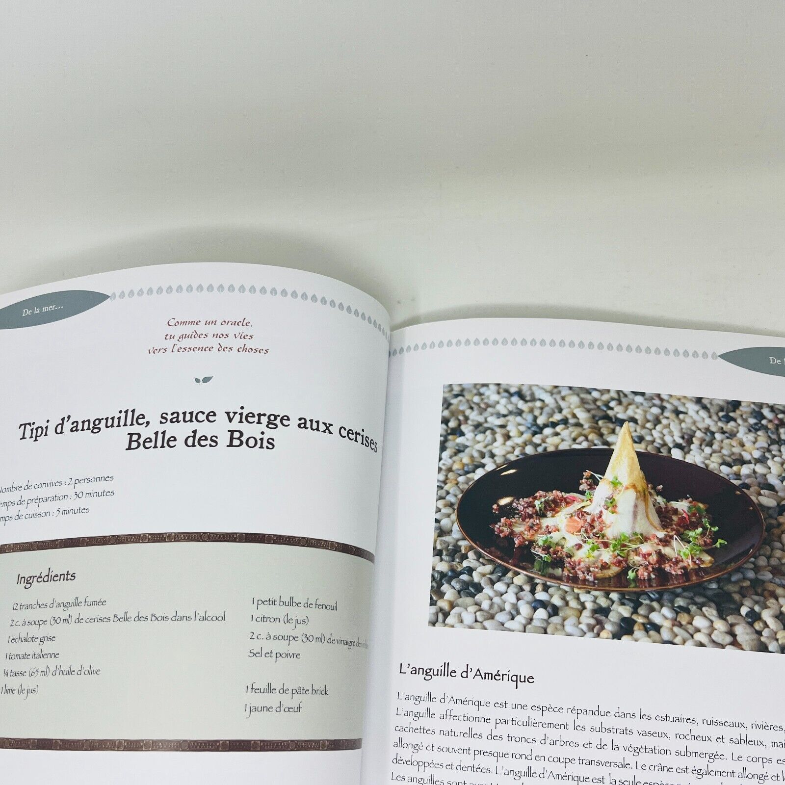 Gastronomie des Premieres Nations Signé par Martin Gagné Livre Recettes Cuisine