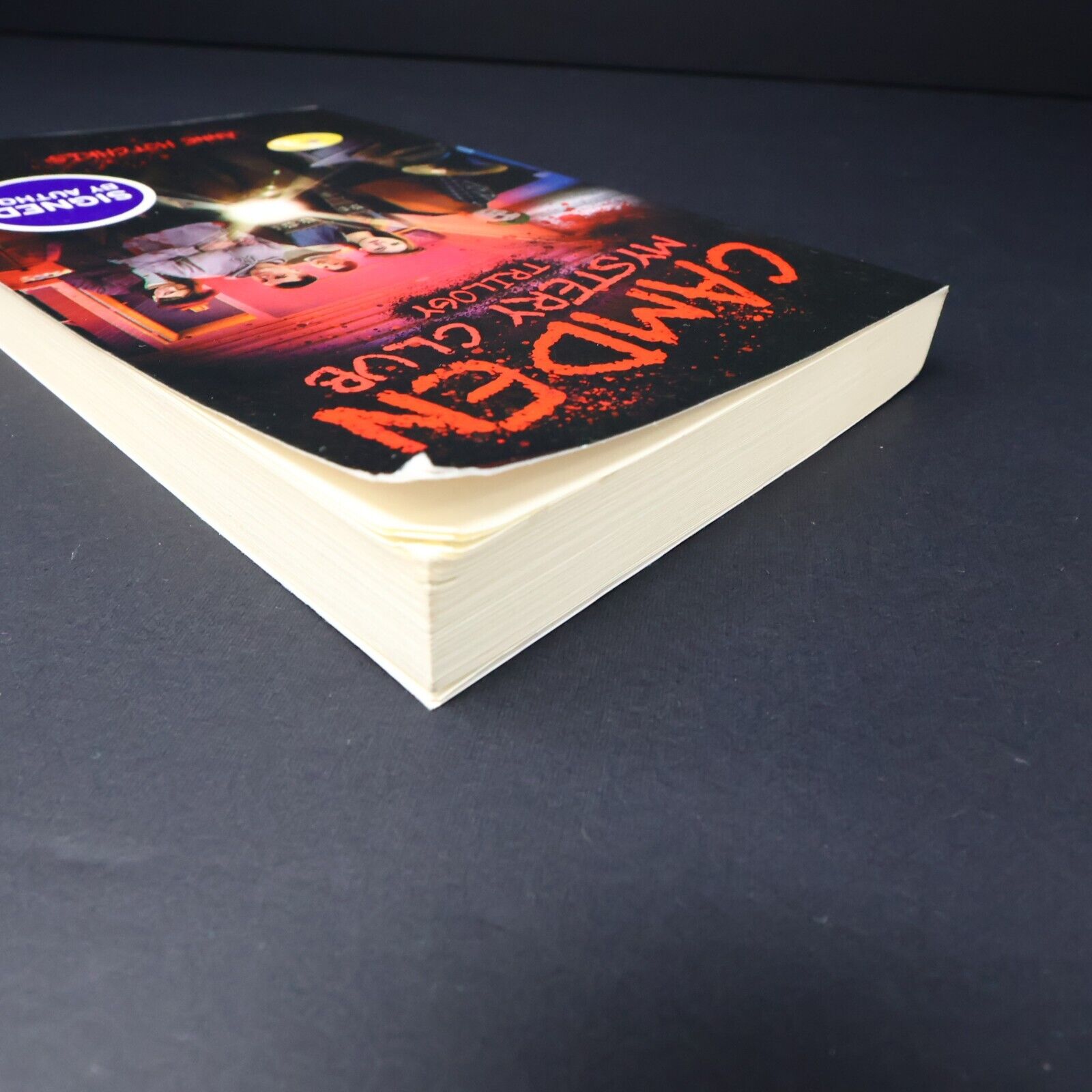 2022 Camden Mystery Club Trilogy Crime by Anne Hotchkis Signed Book PageTurner