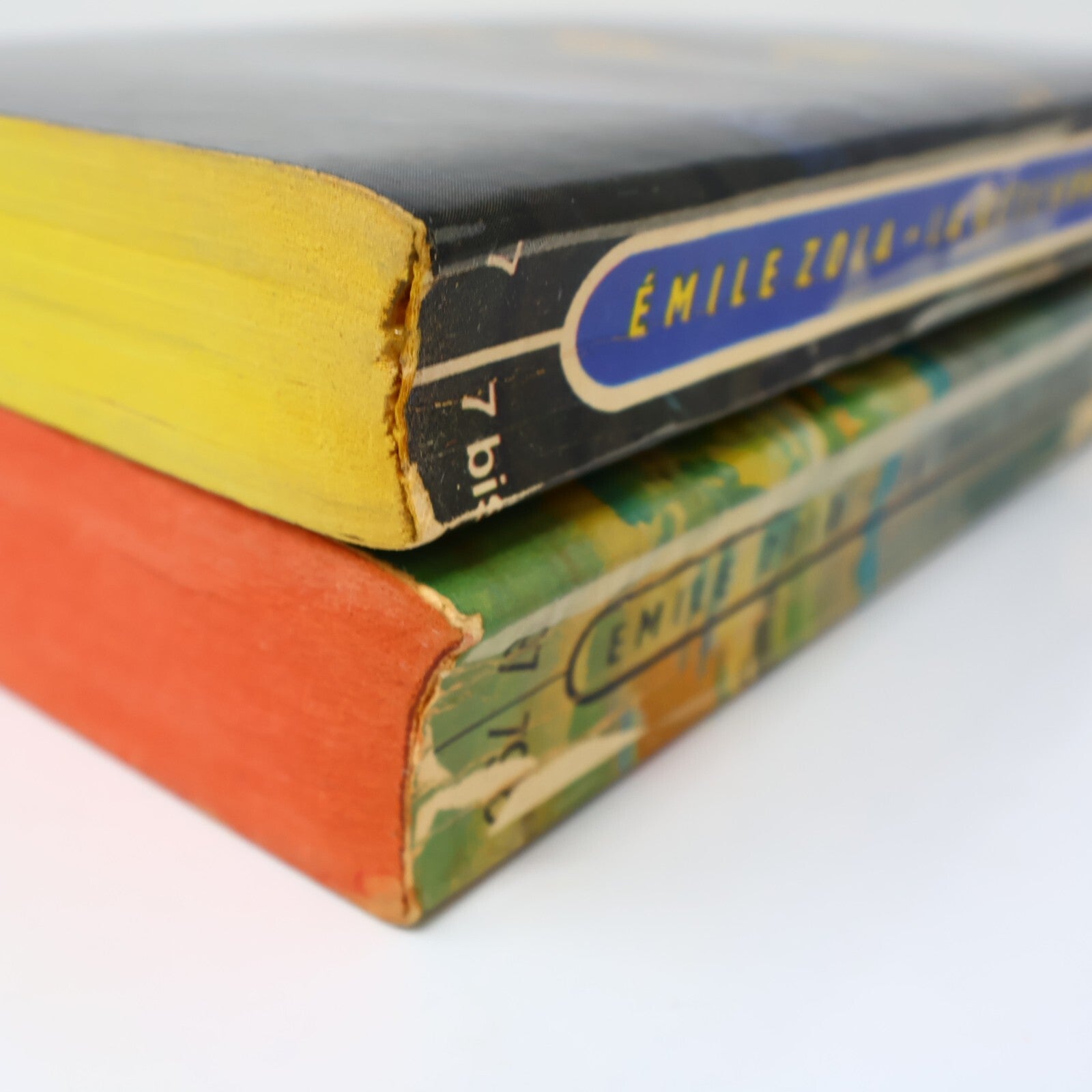 Émile Zola Lot 2 Livres Poche La Joie de Vivre/Bête Humaine Roman France French