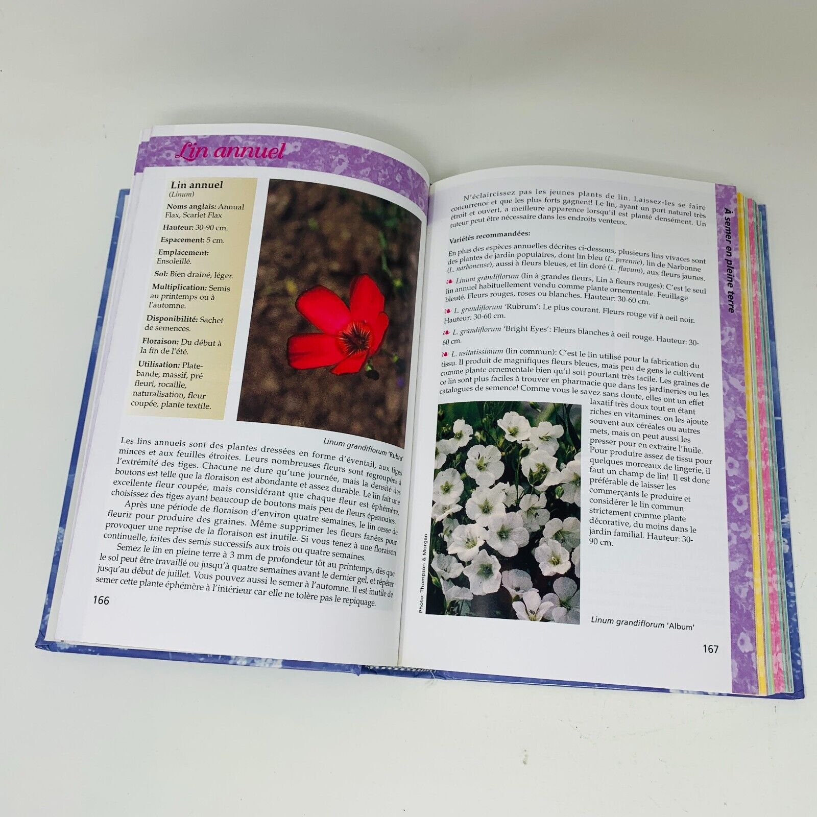 Coffret Vivaces & Annuelles pour le Québec Le Jardinier Paresseux Larry Hodgson