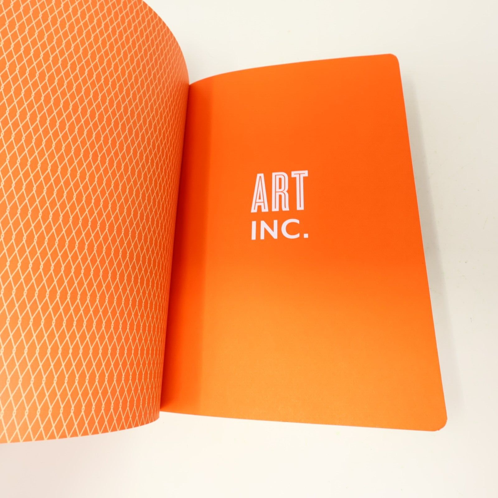 2014 Art Inc. the Essential Guide For Building Your Career As an Artist Book PB