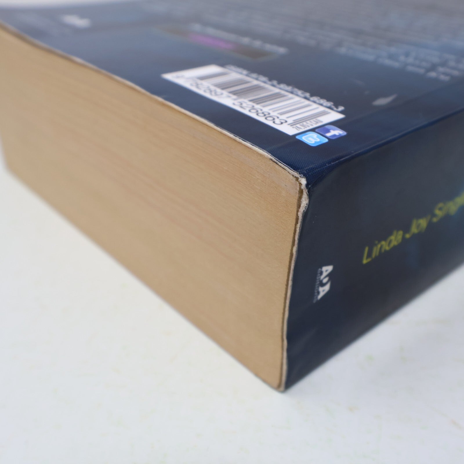 2015 Morte Vivante Série Complète Linda Joy Singleton Omnibus Marchait Aimait PB