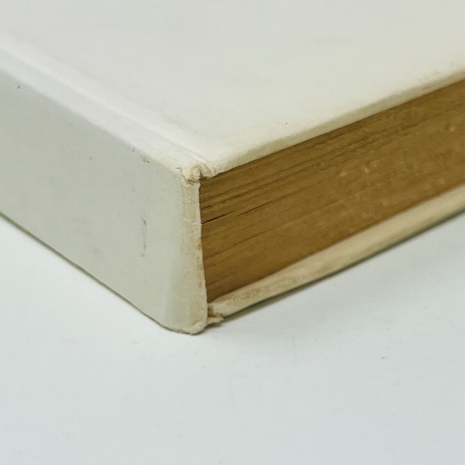 1961 Patins d'Argent Éditions Fabbri Mary Mapes Doges Illustré Torchio Bartoli