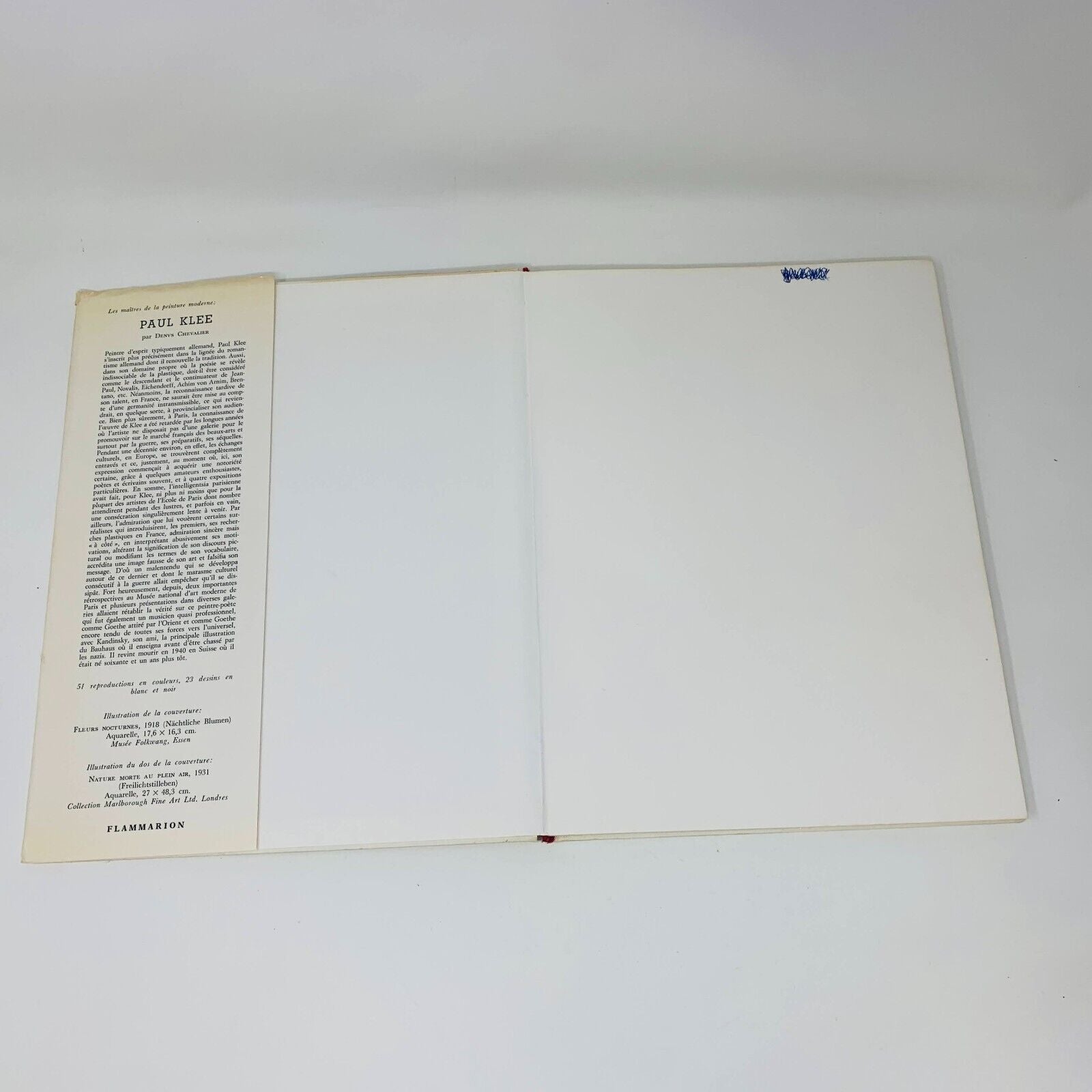 1971 Paul Klee par Denys Chevalier Flammarion Français/French Art Peinture HC DJ