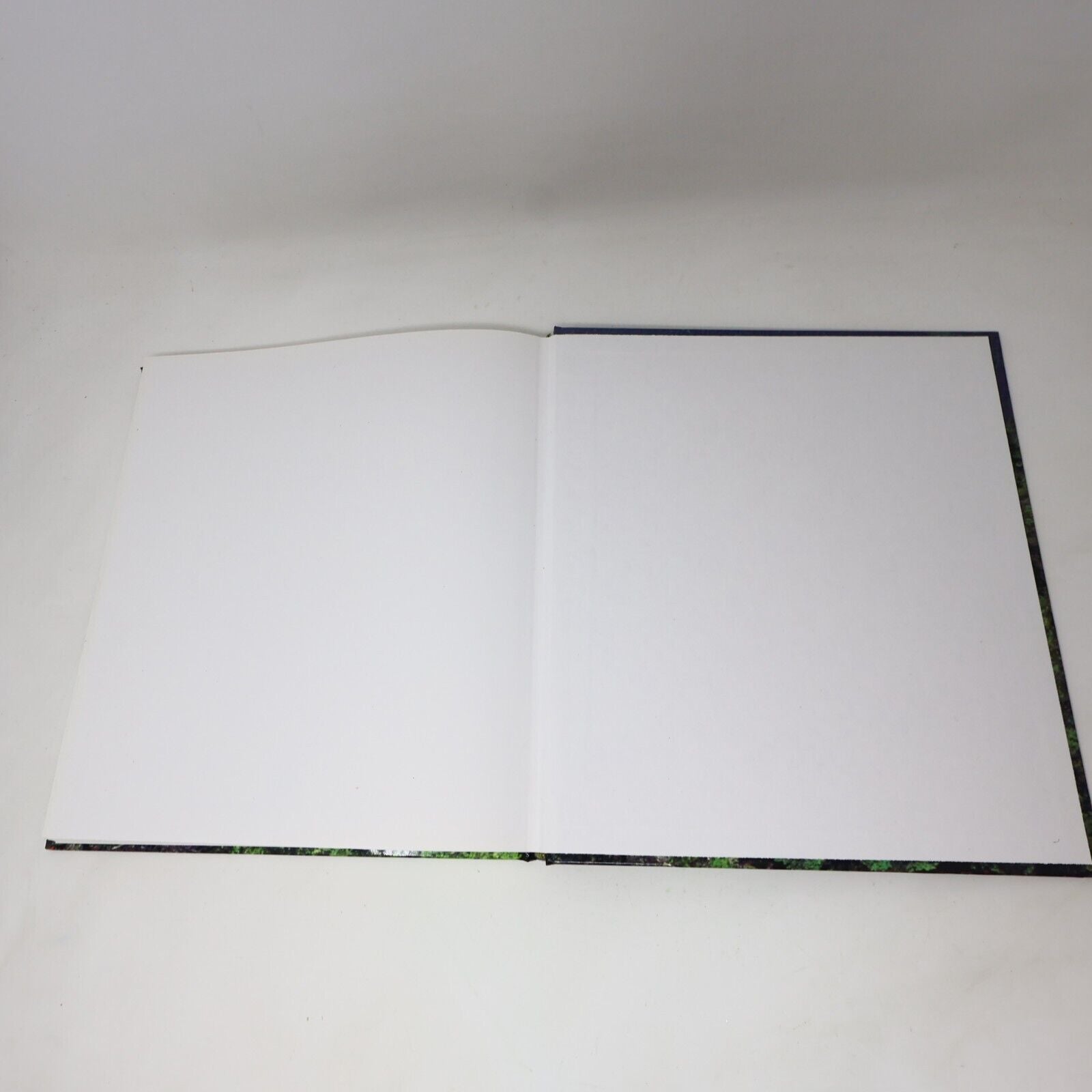 1991 Le Québec Forestier Lagacé/Allen Hardcover HC Broquet Nature Faune Flore
