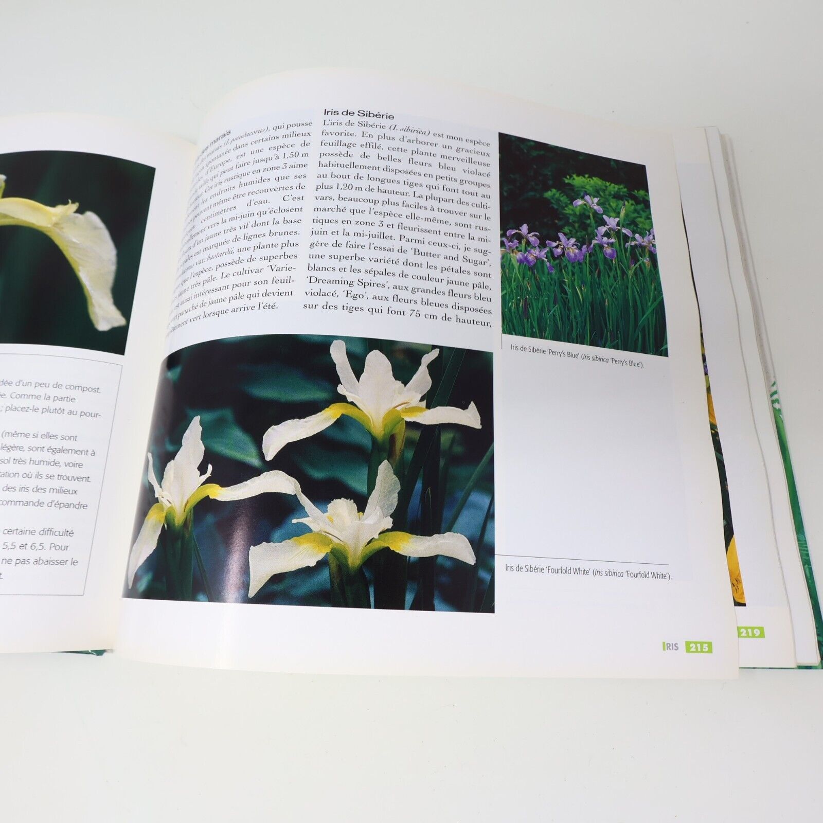 2001 Le Grand Livres des Vivaces Albert Mondor Horticulture Jardinage De L'homme