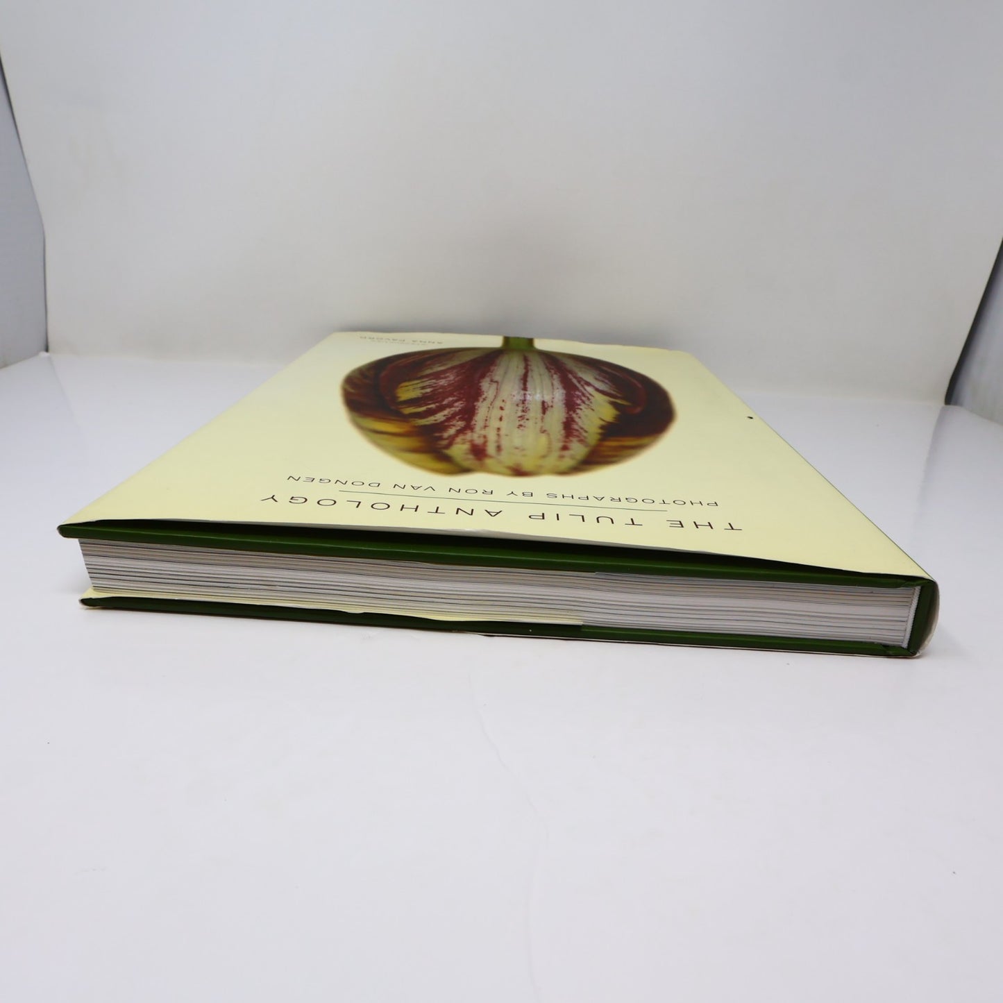The Tulip Anthology Ron Van Dongen Chronicle Books 2010 HC DJ Art Photography
