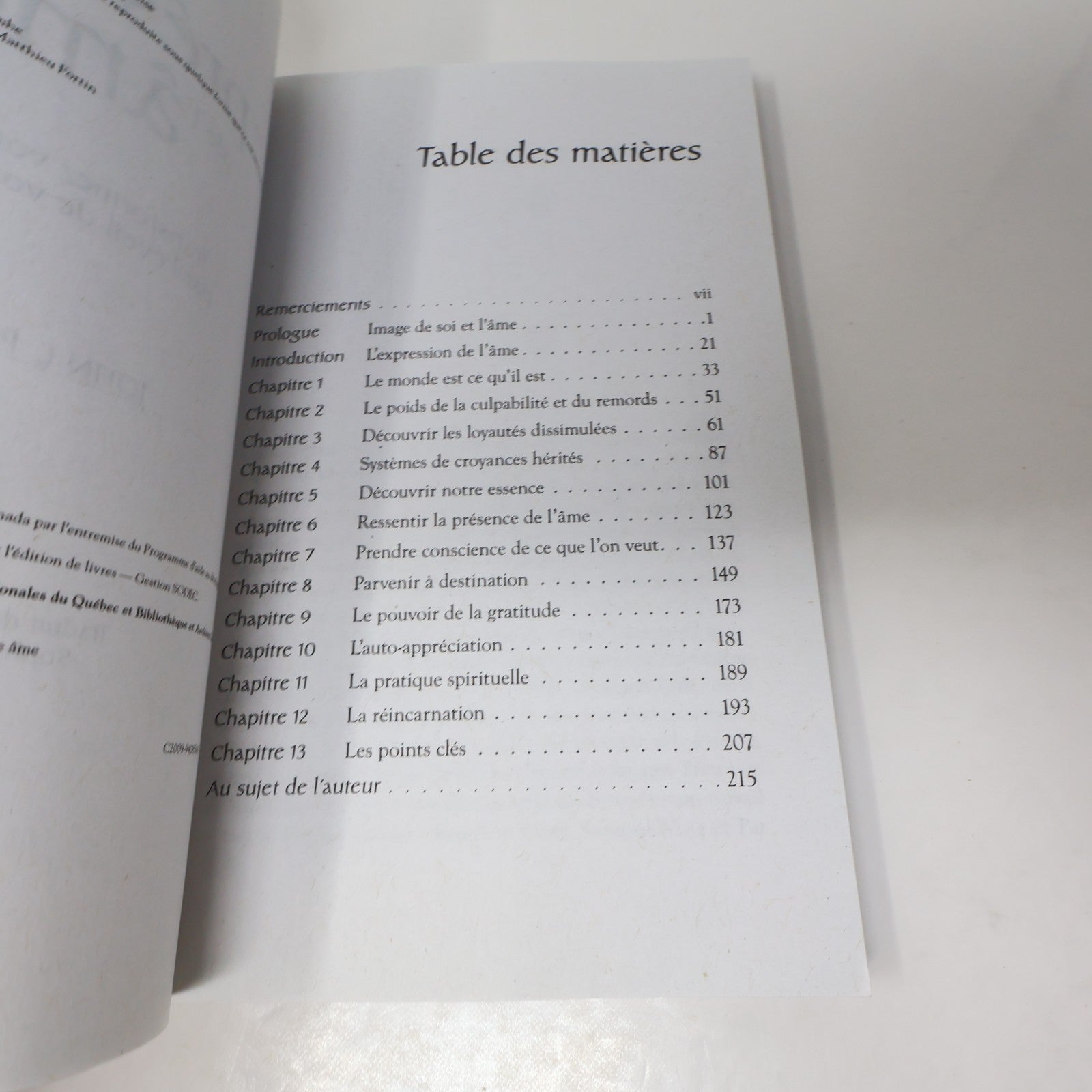 La Présence de l'Âme John Payne Ada 2009 PB Français French Ésotérisme Paperback