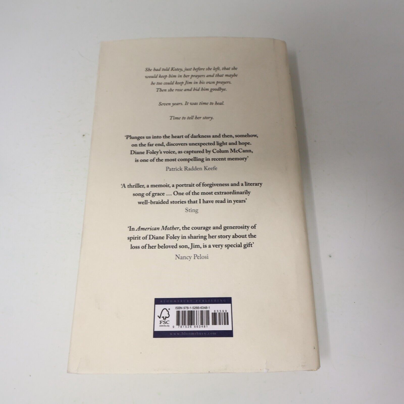 2024 American Mother Colum Mccann Diane Foley Bloomsbury Hardcover Novel Crime