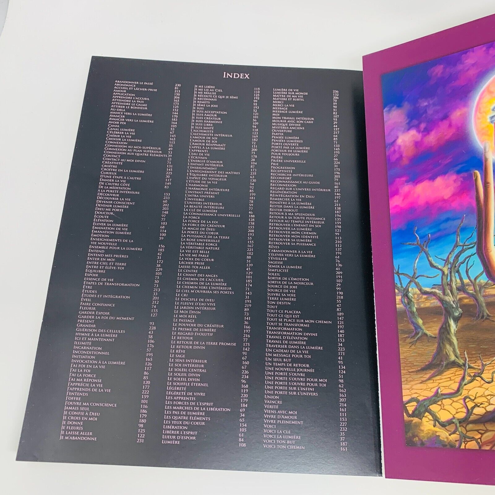 2012 Mario Duguay De l'Ombre à la Lumière Illustrations Peintures Français Livre