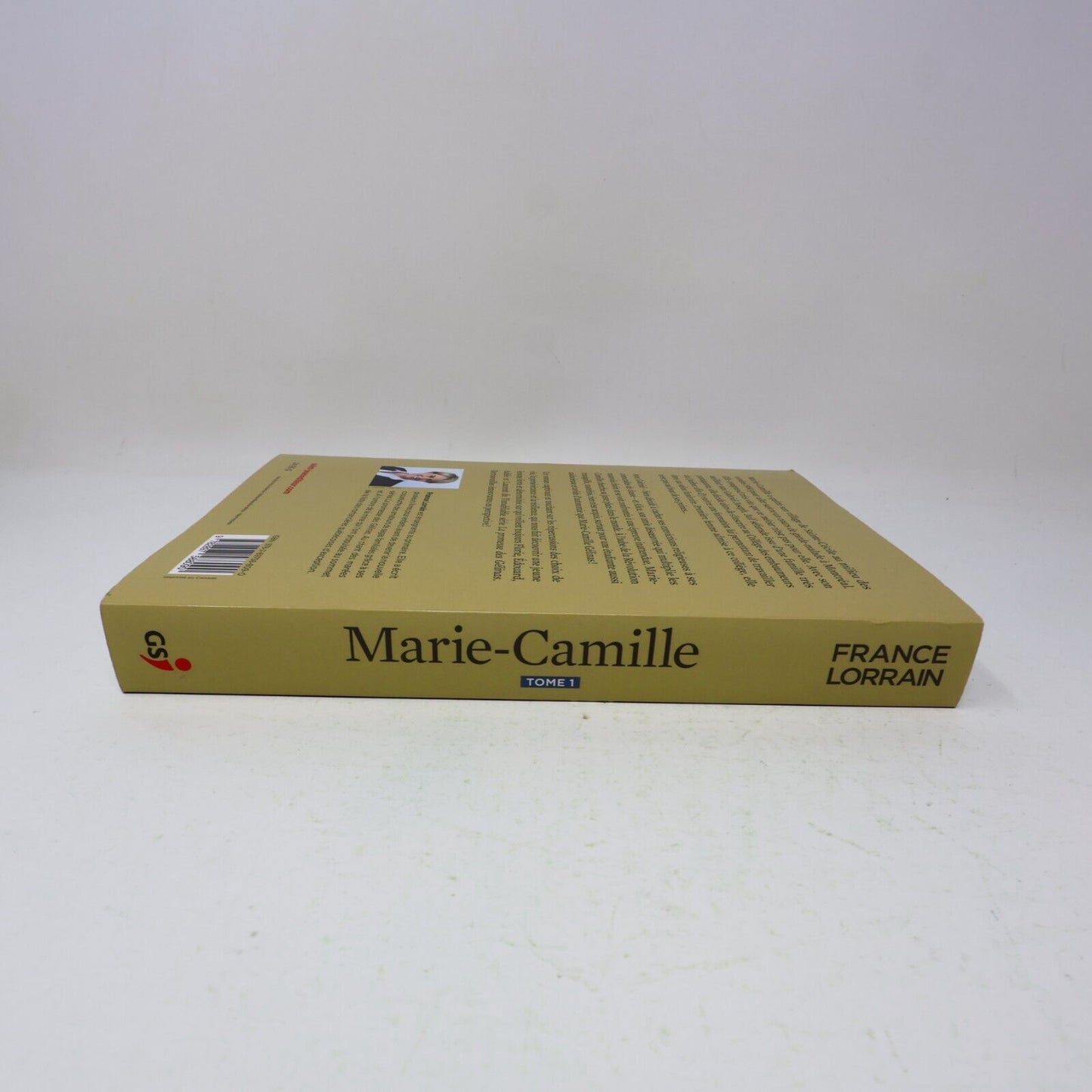 2019 Marie-Camille Tome 1 France Lorrain Roman Historique Québec Guy Saint-Jean