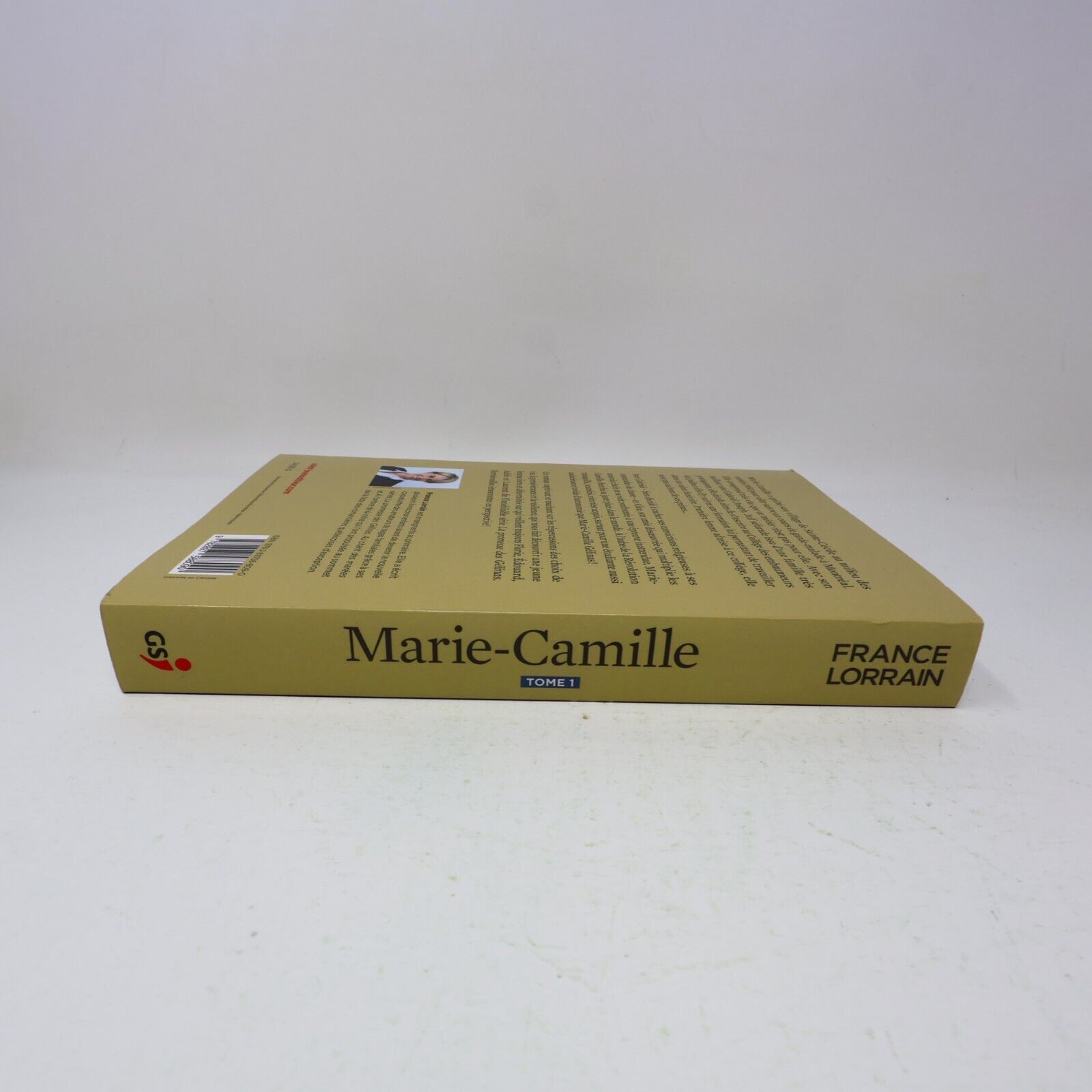 2019 Marie-Camille Tome 1 France Lorrain Roman Historique Québec Guy Saint-Jean