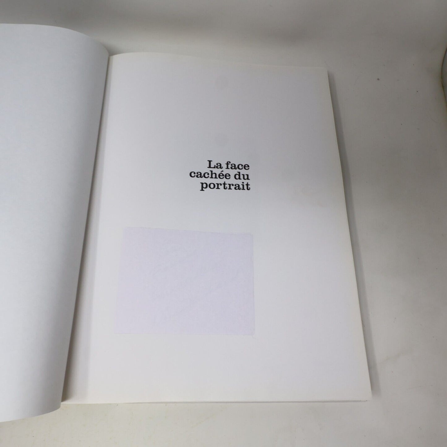 2007 La Face Cachée du Portrait Astuces et Secrets Monic Richard Sophie Massé HC