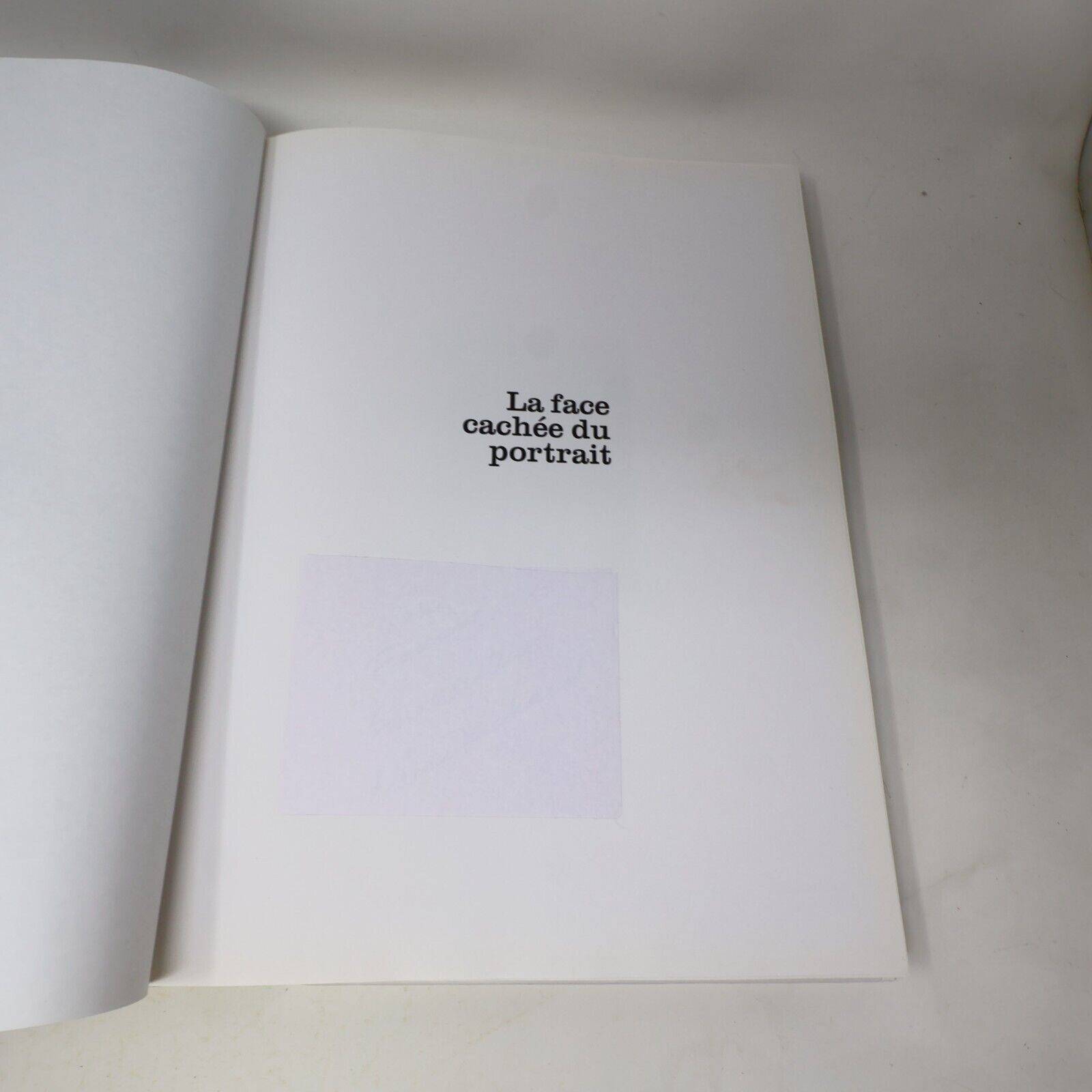 2007 La Face Cachée du Portrait Astuces et Secrets Monic Richard Sophie Massé HC
