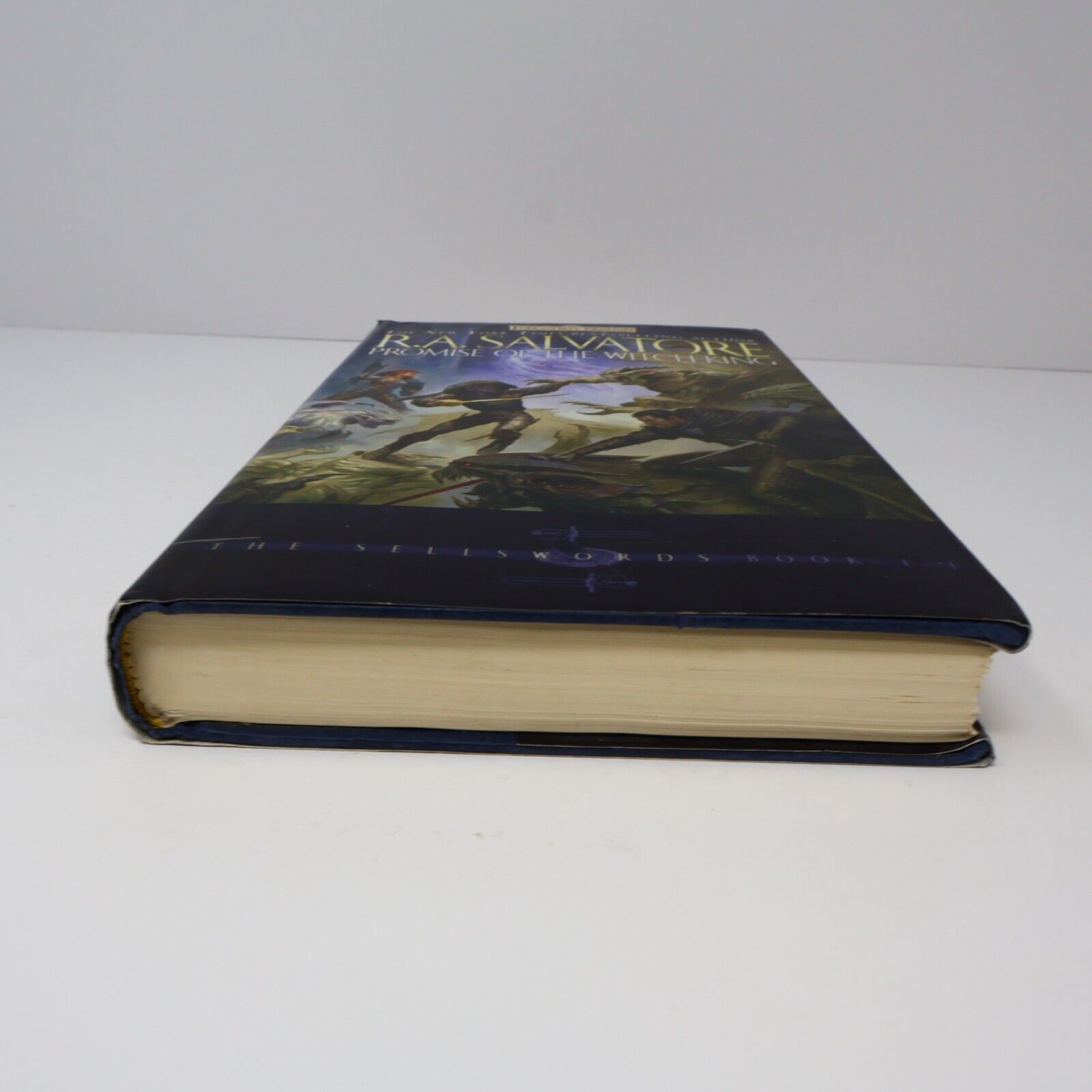 2005 The Sellswords #1 Promise of the Witch-King Forgotten Realms Fantasy WOC HC
